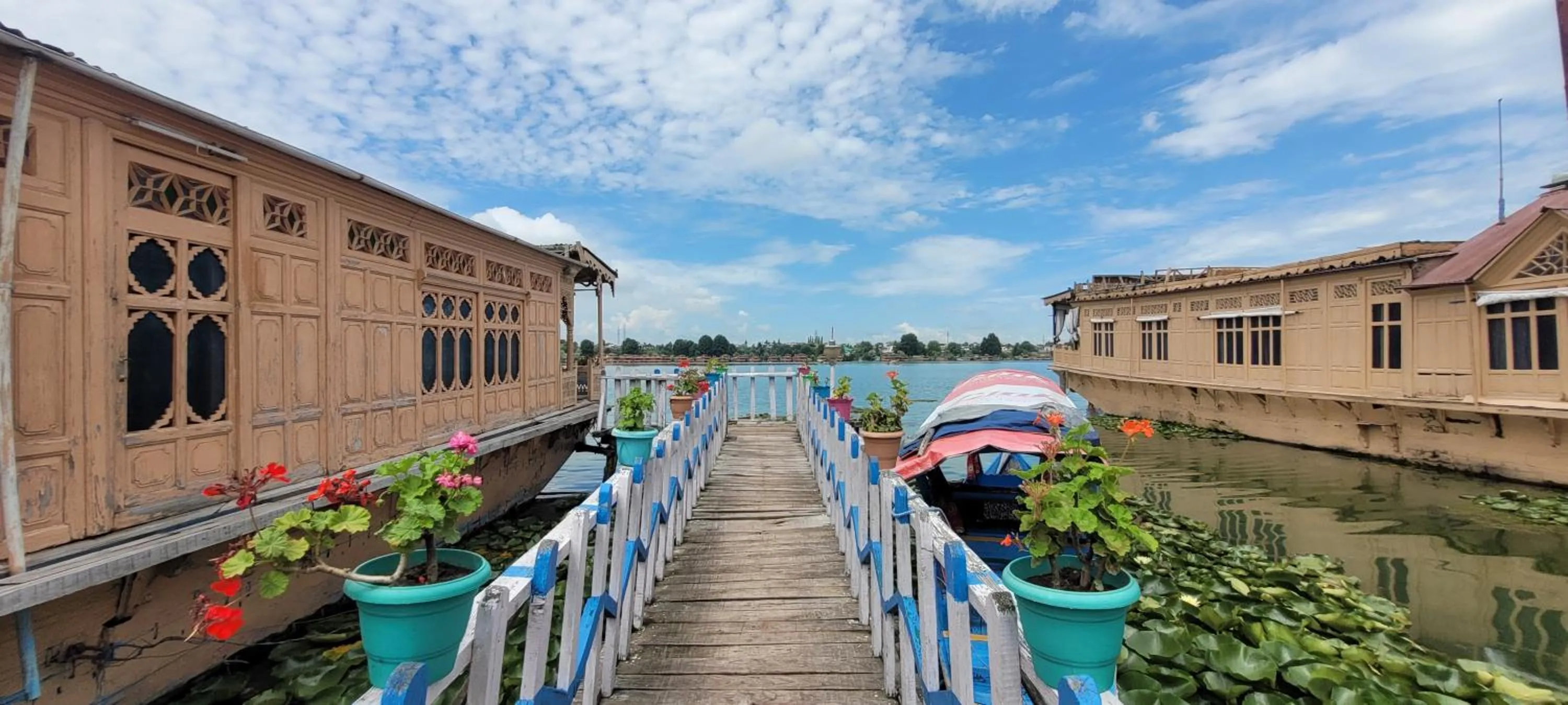 Lily Of The World Houseboat