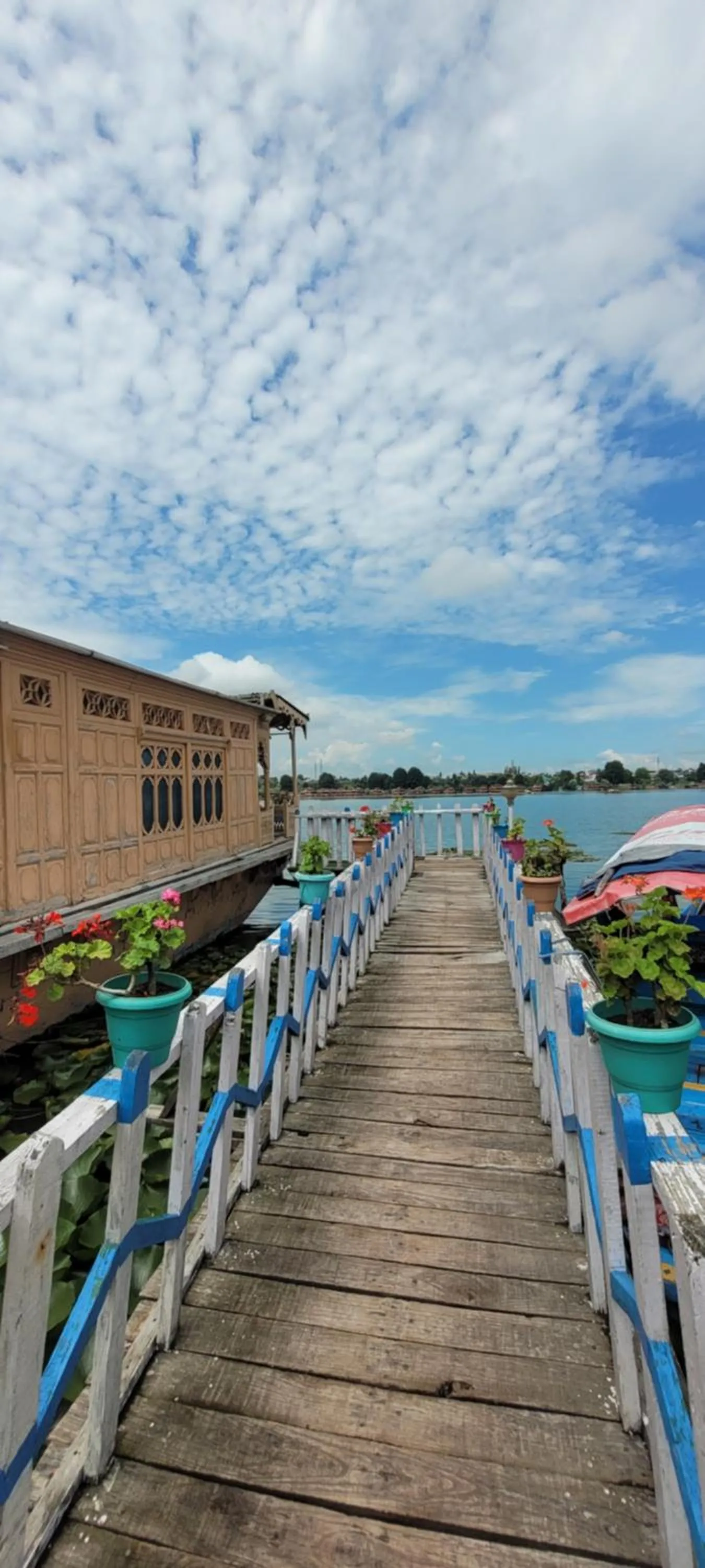Lily Of The World Houseboat