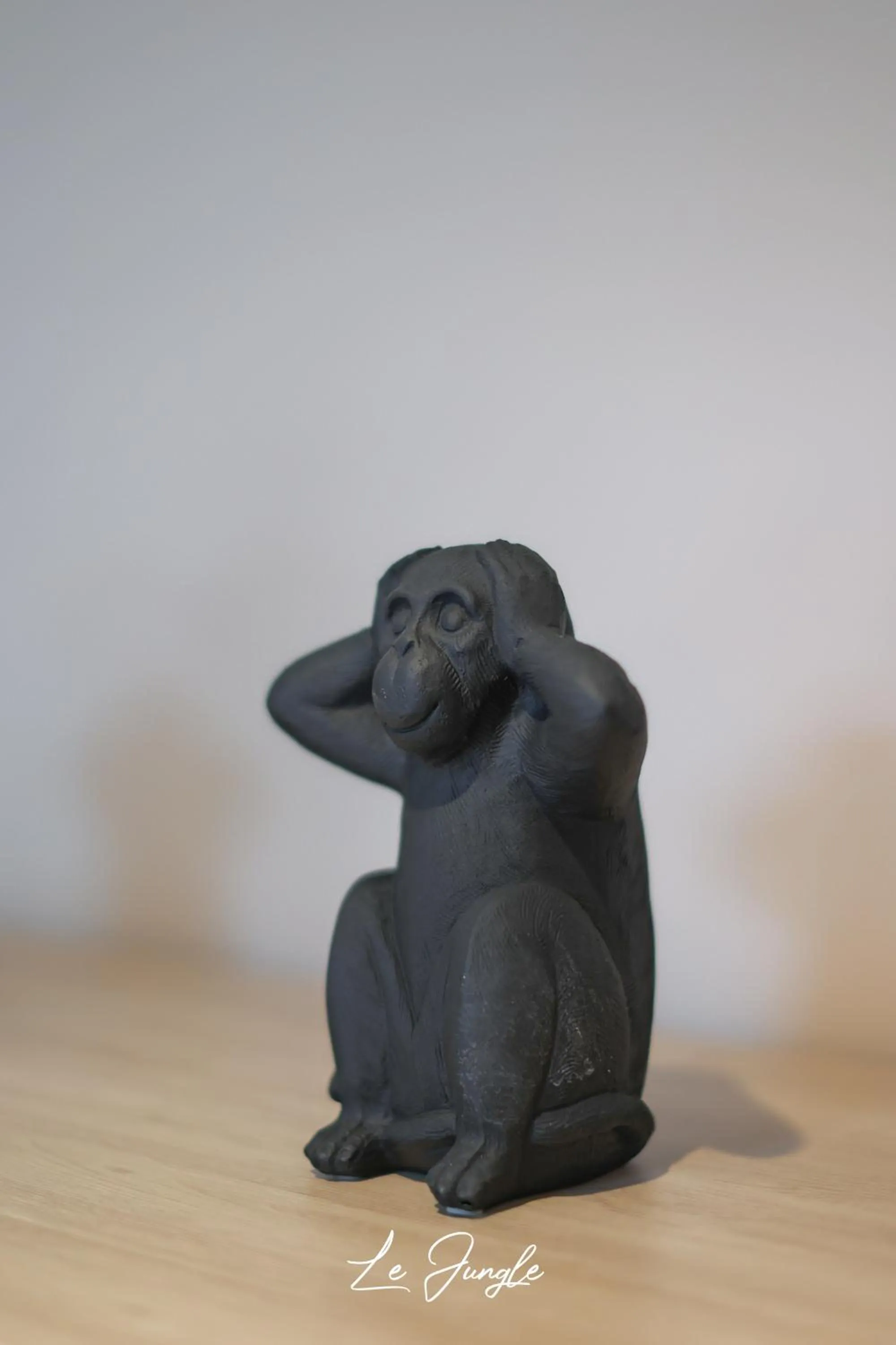 Decorative detail in LE JUNGLE 5 étoiles / Netflix et services