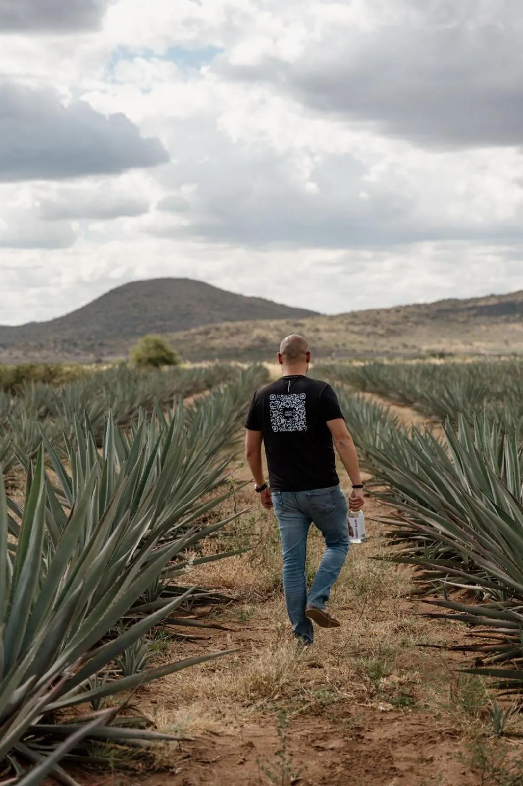 View (from property/room) in Sarab Hotel