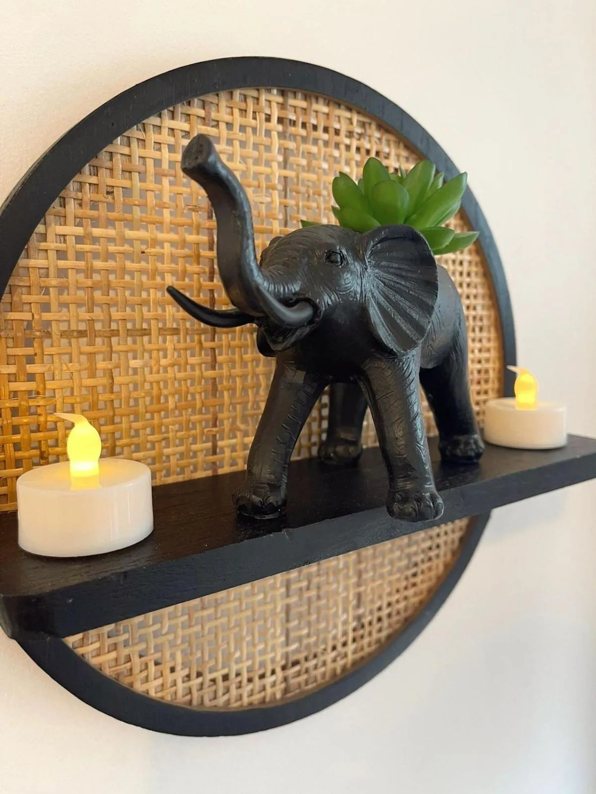 Cambridge Studios and Suites by Tas Accommodations