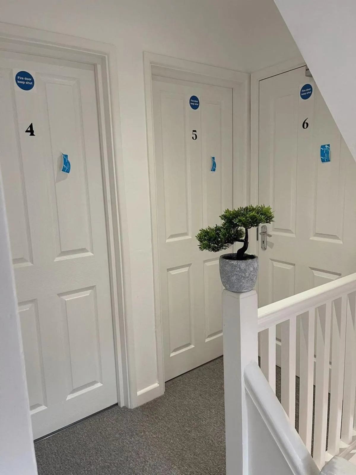 Cambridge Studios and Suites by Tas Accommodations