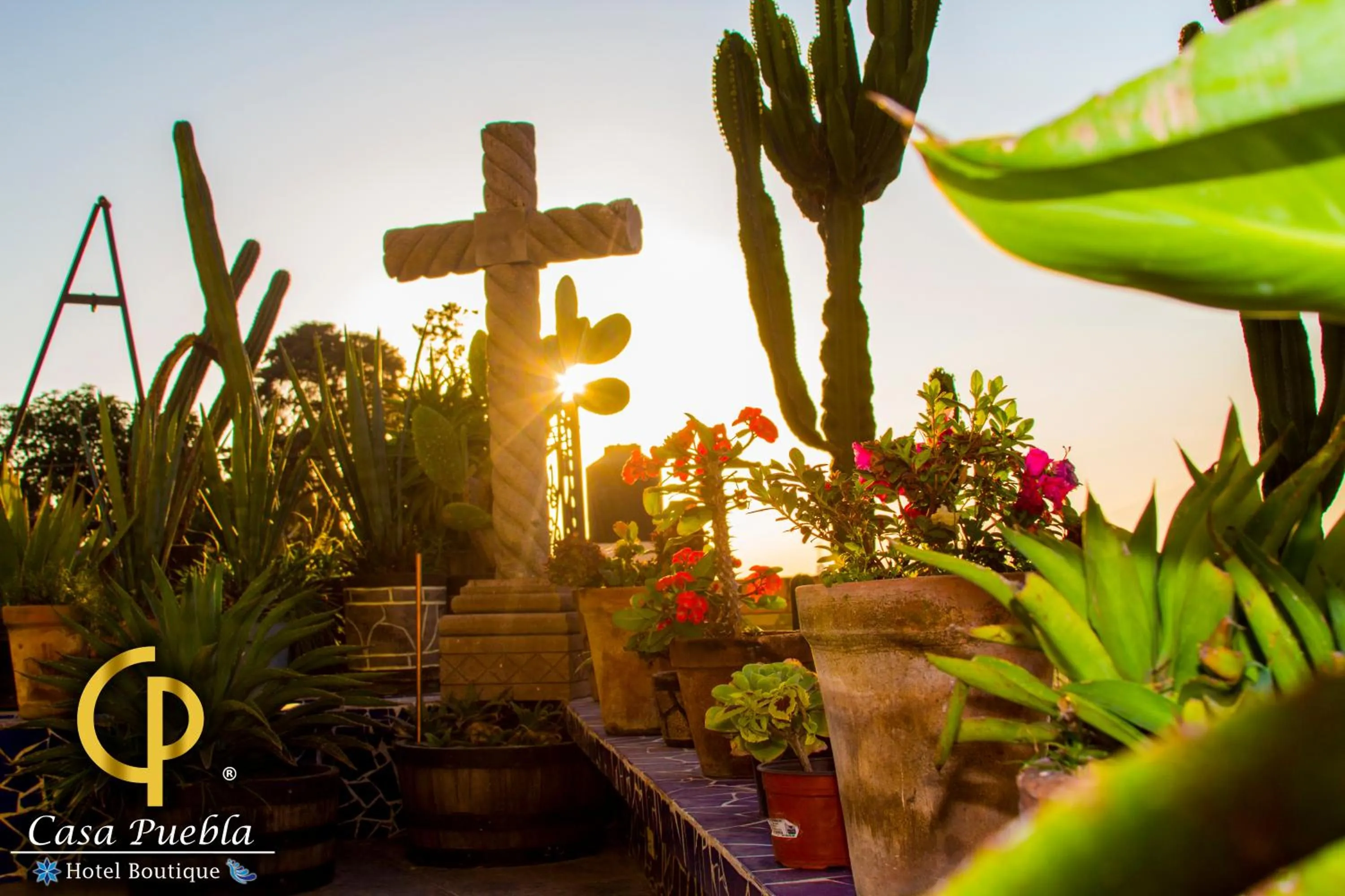 Garden in Hotel Temático Casa Puebla