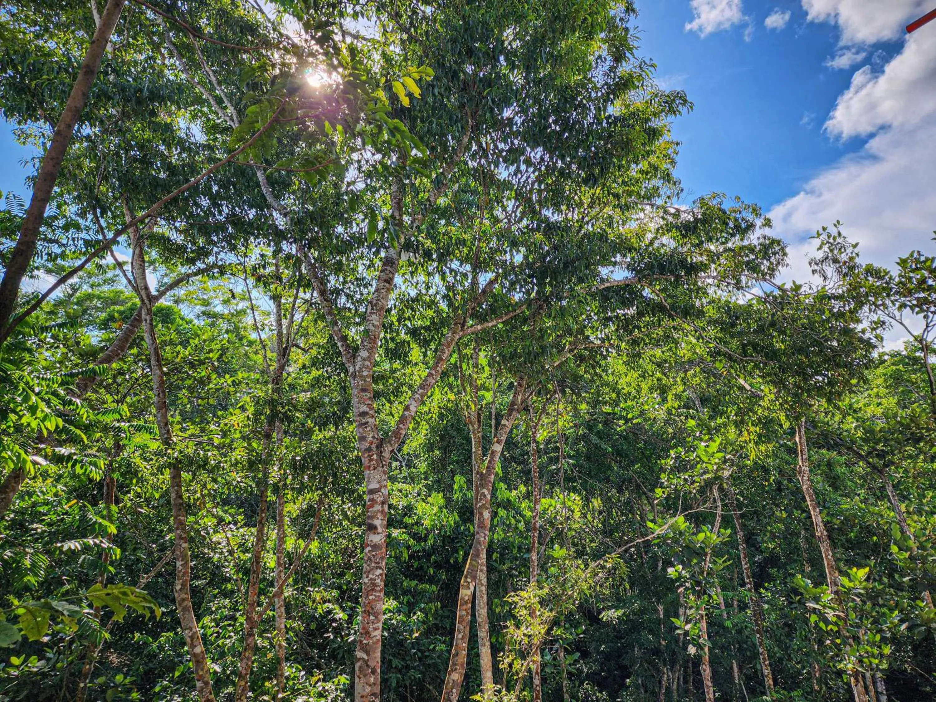 Natural landscape in Hotel Capri Doradal