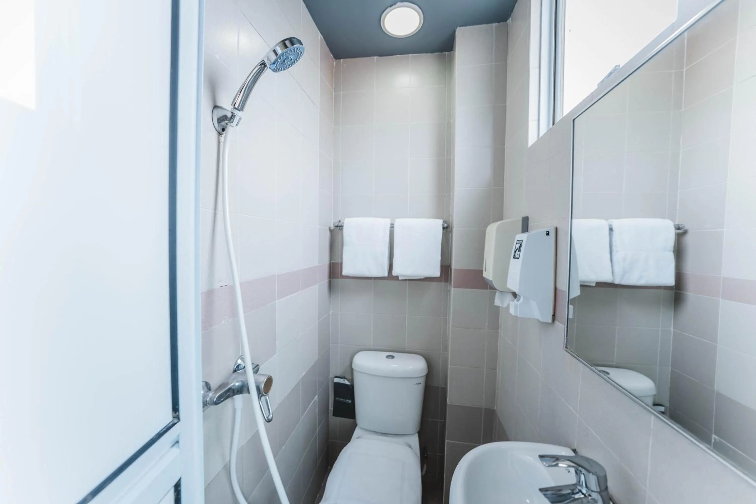 Shower in Hotel 81 Joy