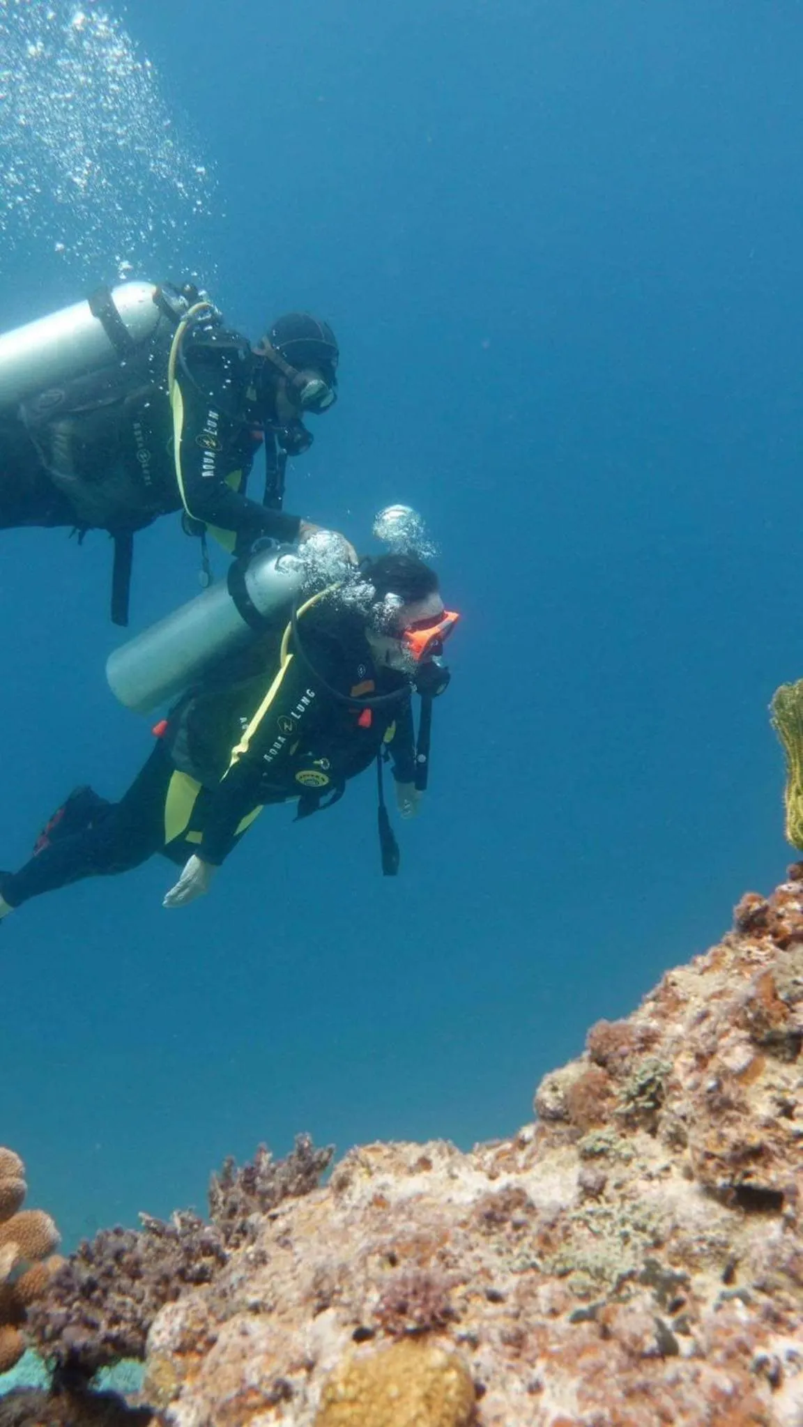 Diving in The Beach House