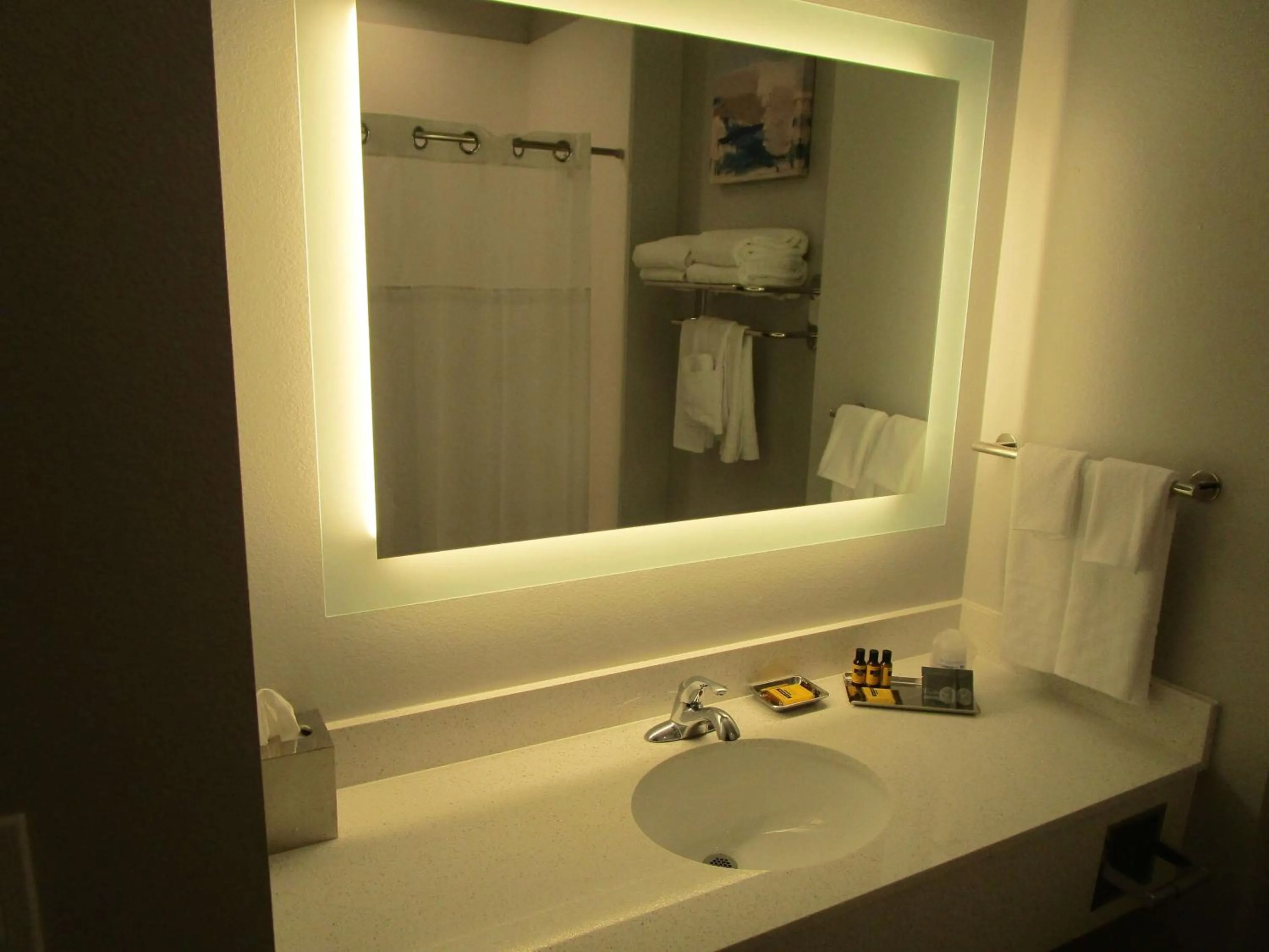 Bathroom in Reddy Hotel Bonham