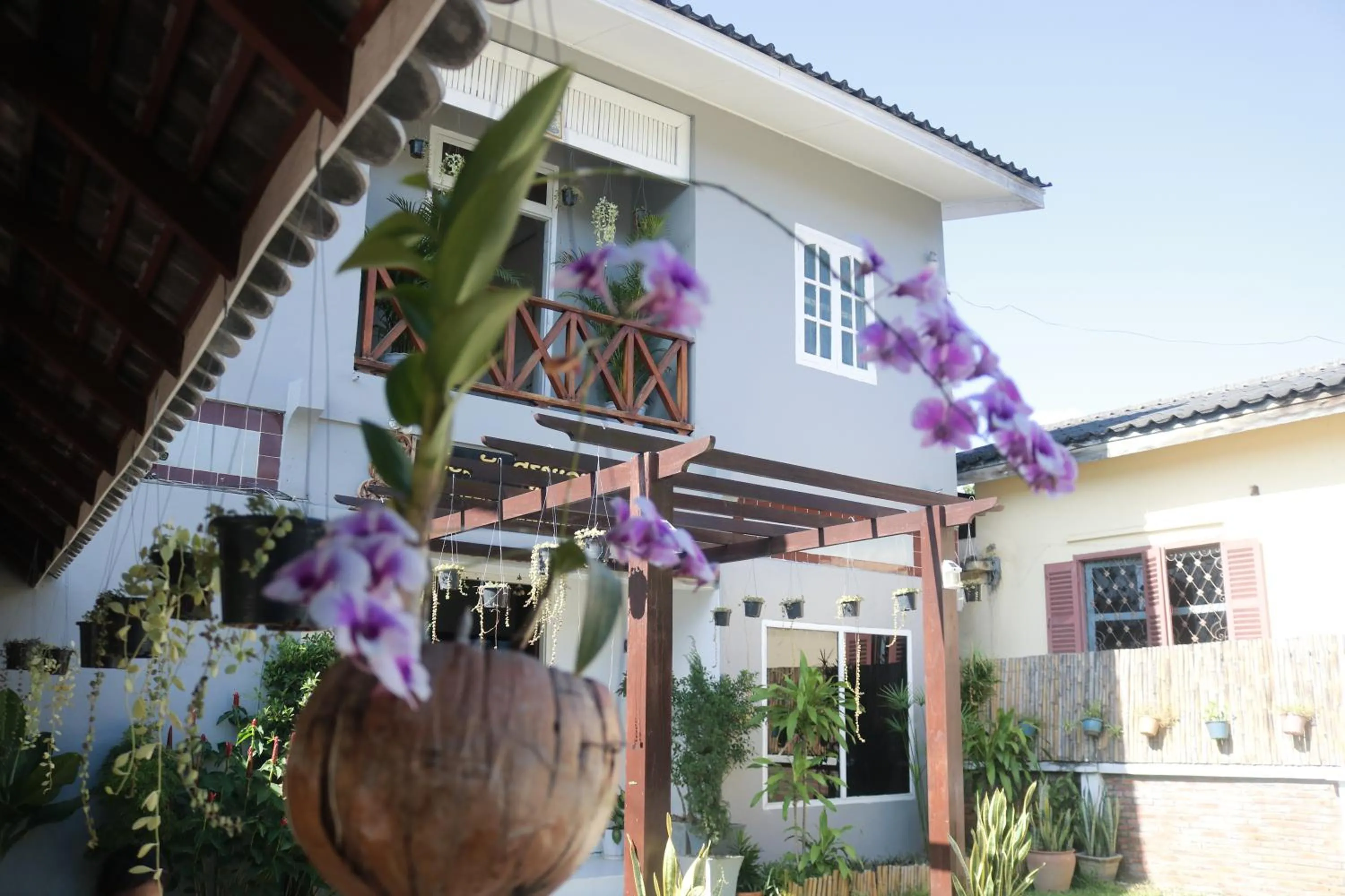 Spring in Moon's house LuangPrabang