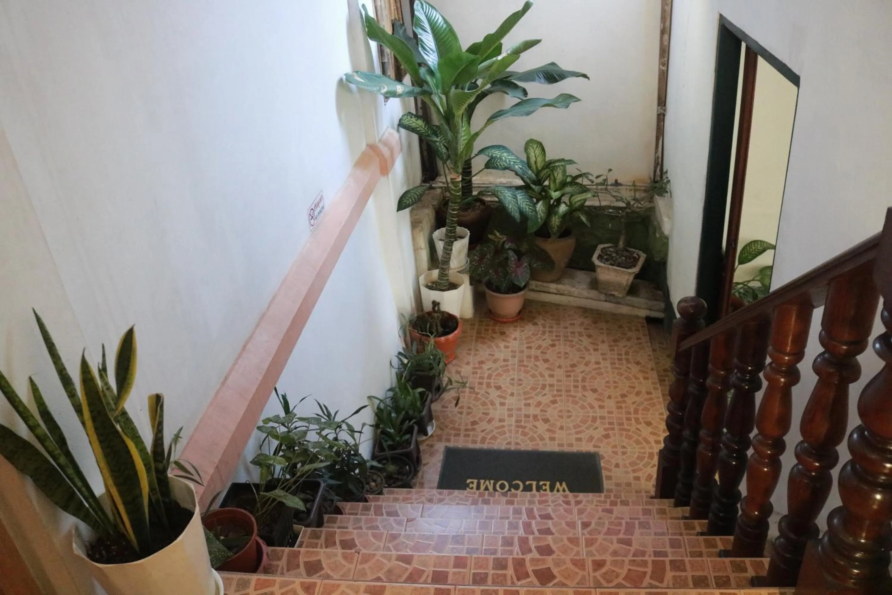 Property building in Moon's house LuangPrabang