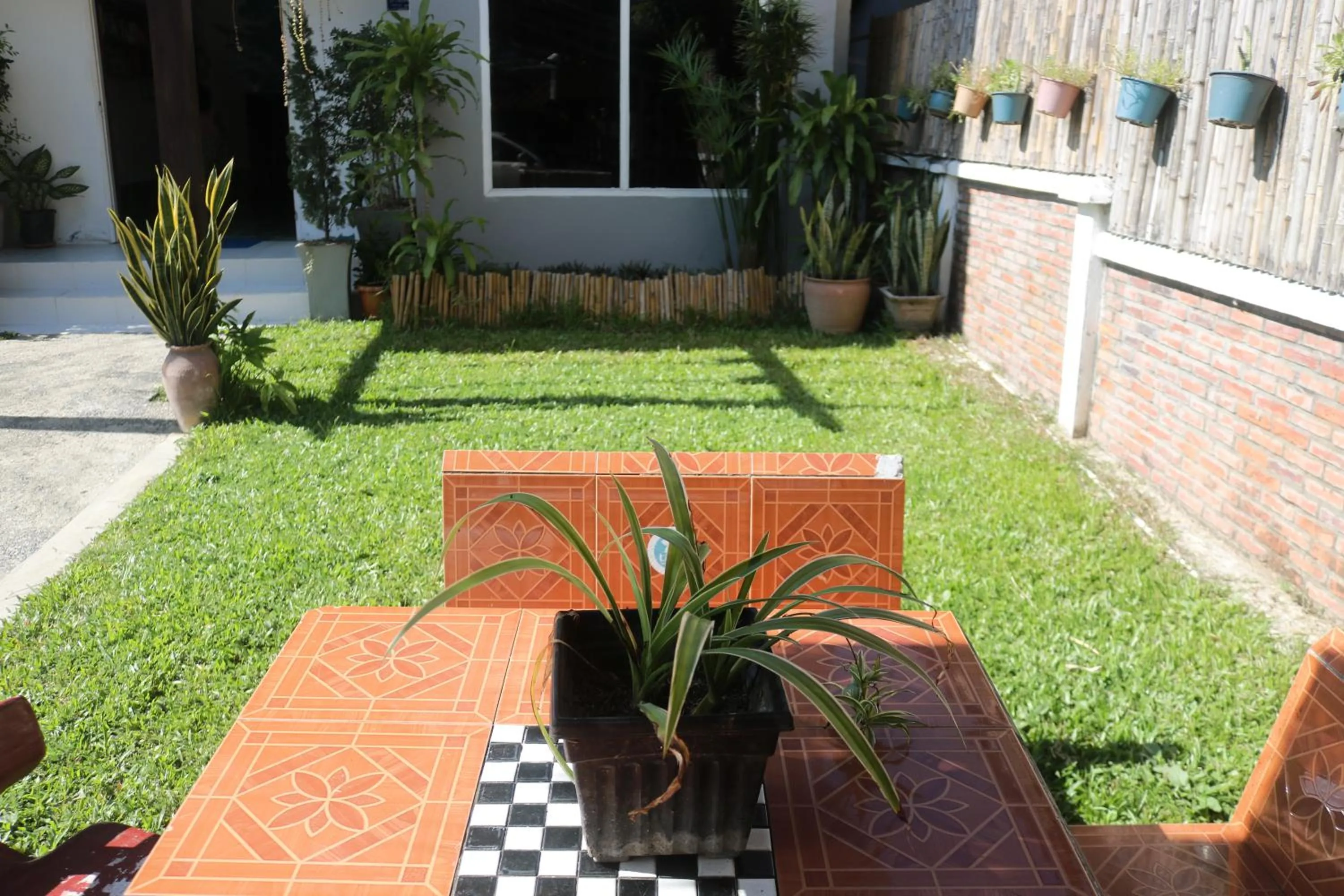 Garden in Moon's house LuangPrabang