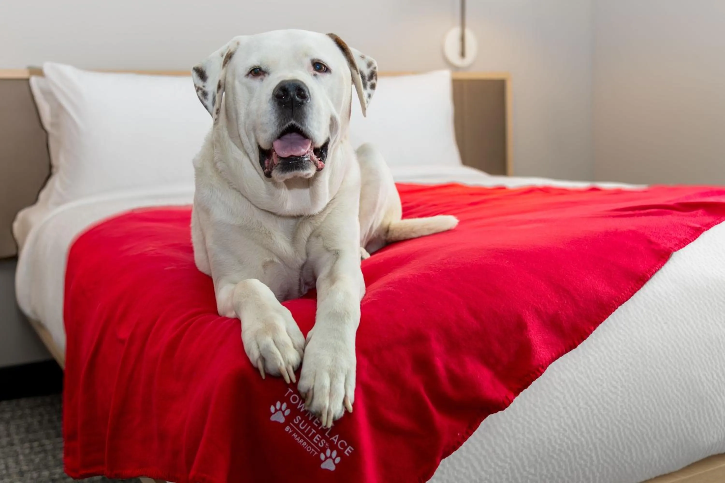 Other, Bed in TownePlace Suites by Marriott Norfolk