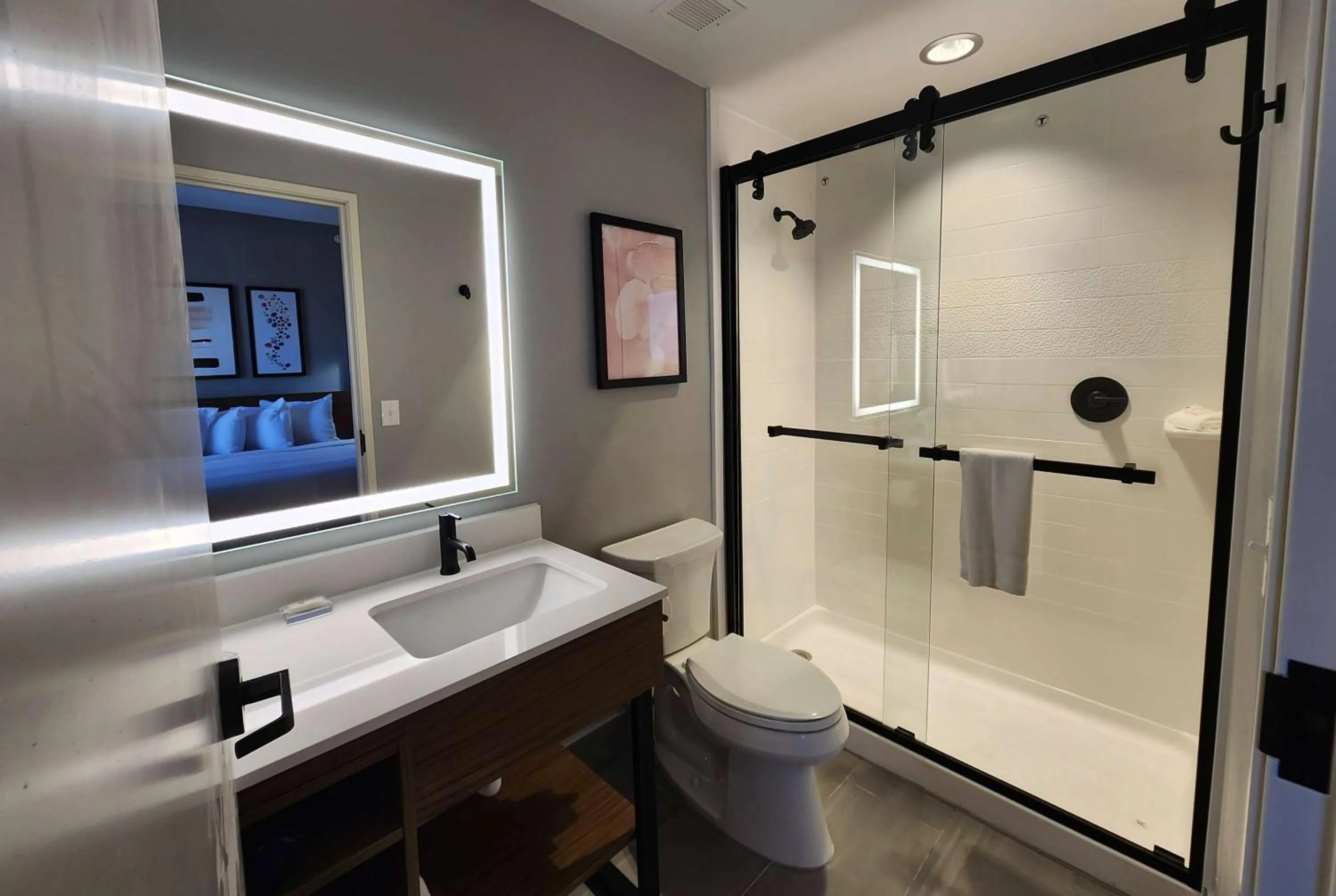 TV and multimedia in Hawthorn Extended Stay by Wyndham Del Rio