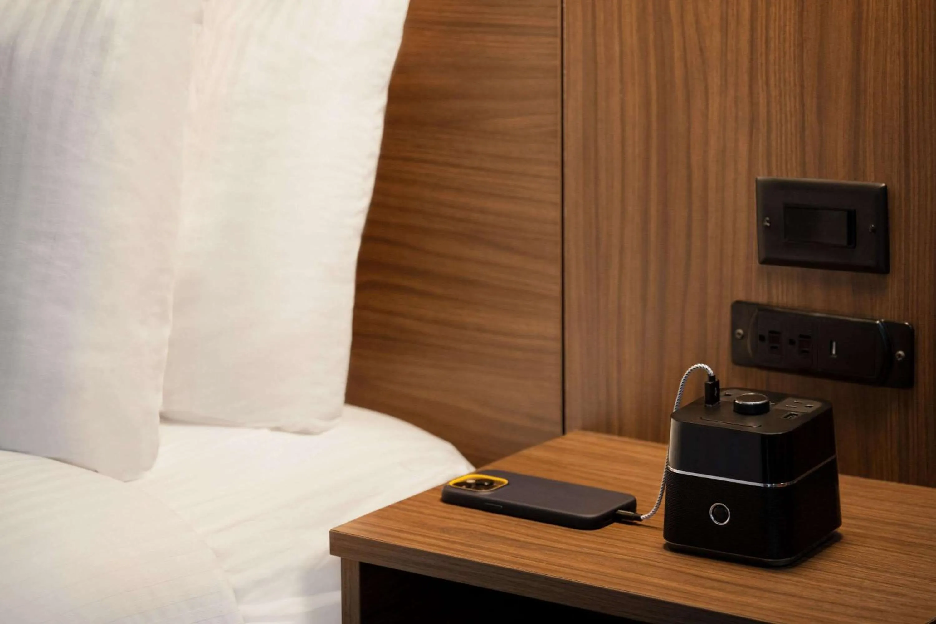 Photo of the whole room in La Quinta Inn & Suites by Wyndham Del Rio