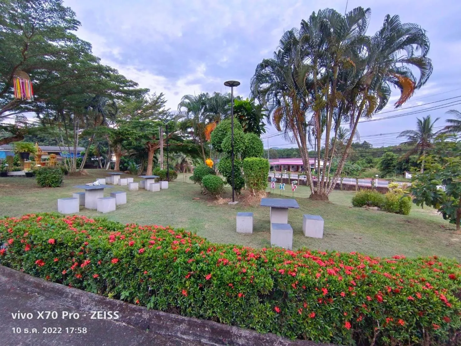 Garden in Da-Kanda Boutique