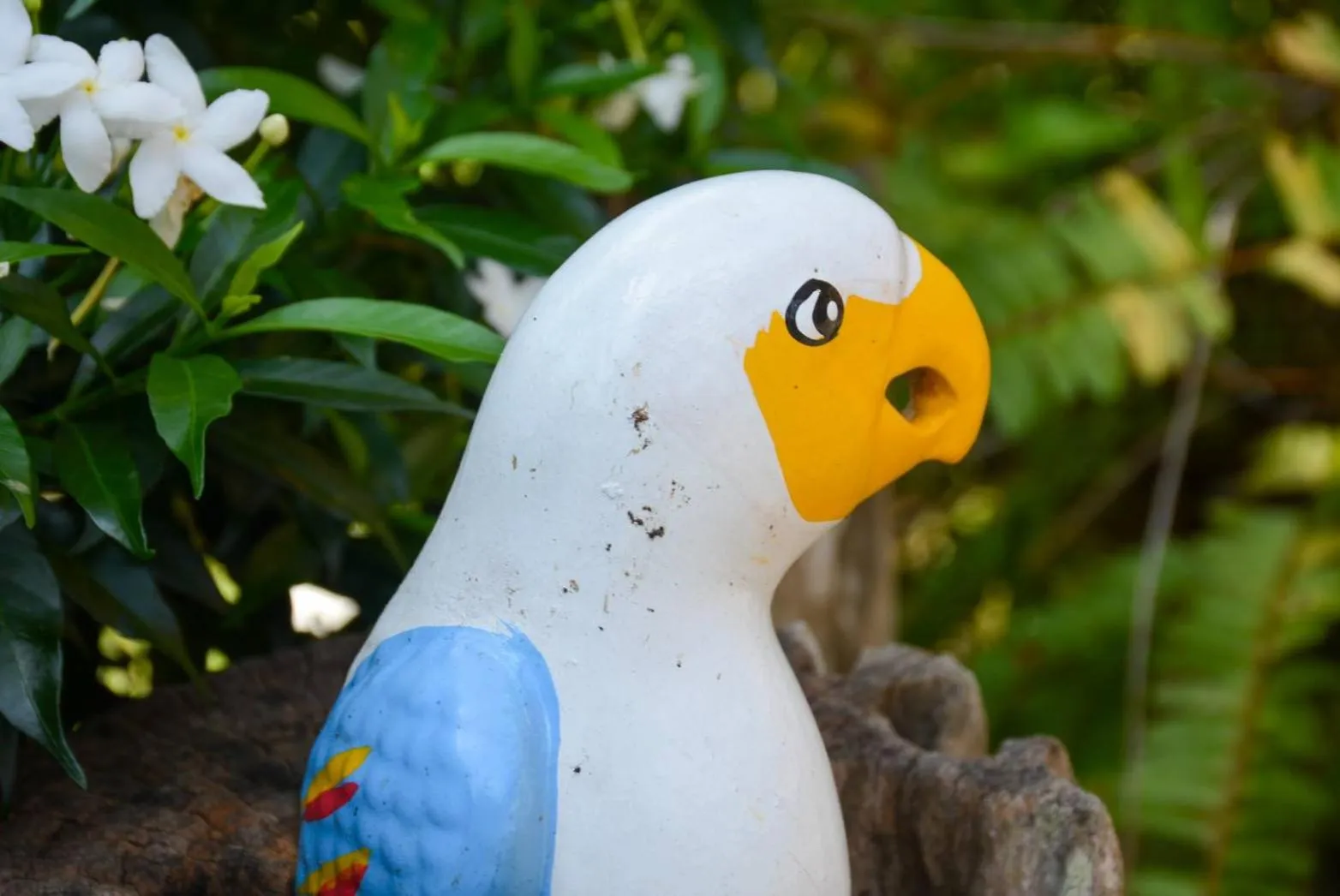 Garden view in Da-Kanda Boutique