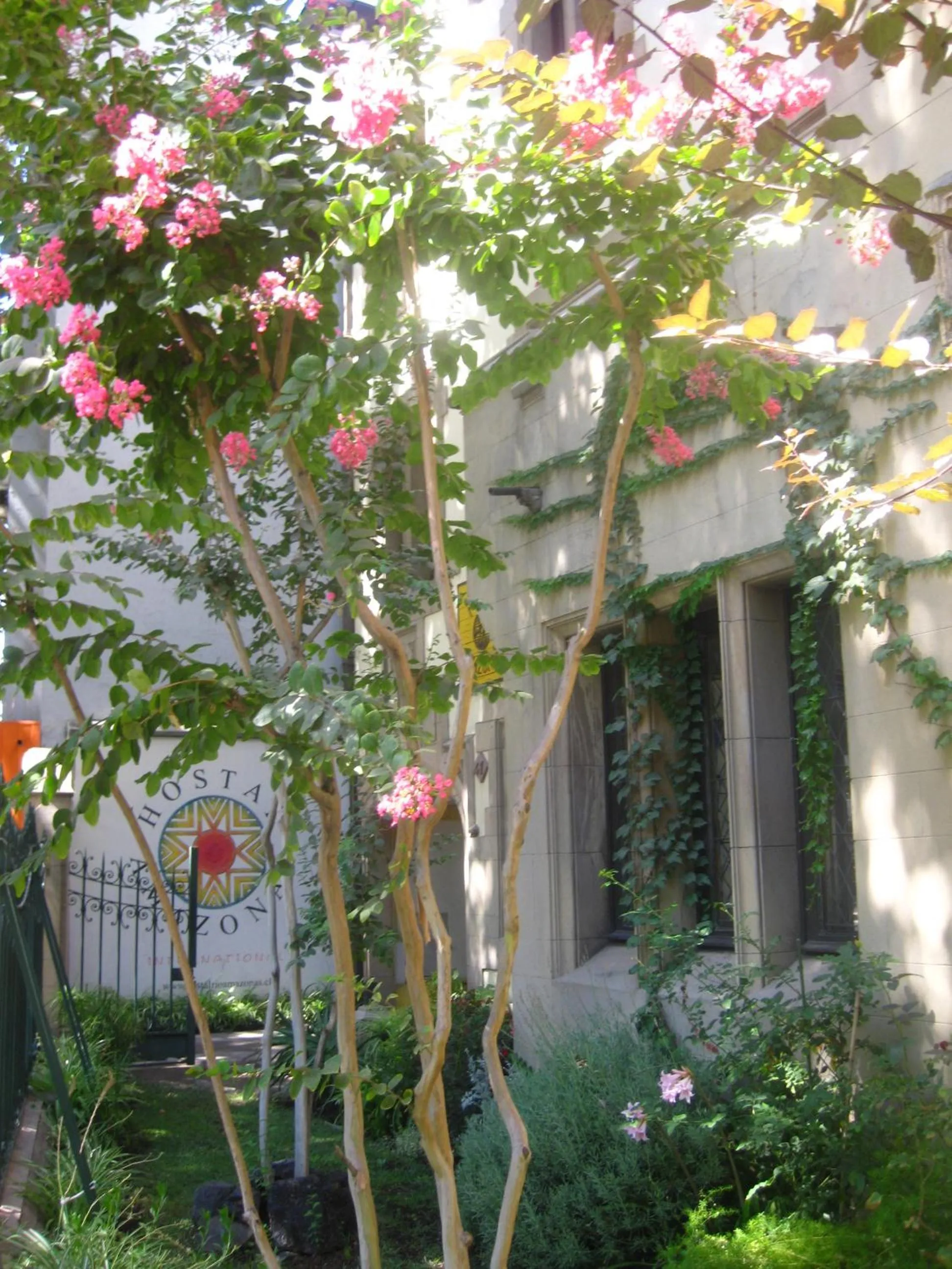 Decorative detail in Hostal Rio Amazonas