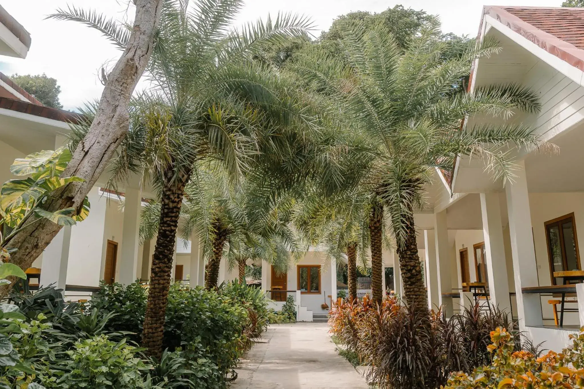 Garden view in Diamond Beach Resort Garden view in Diamond Beach Resort