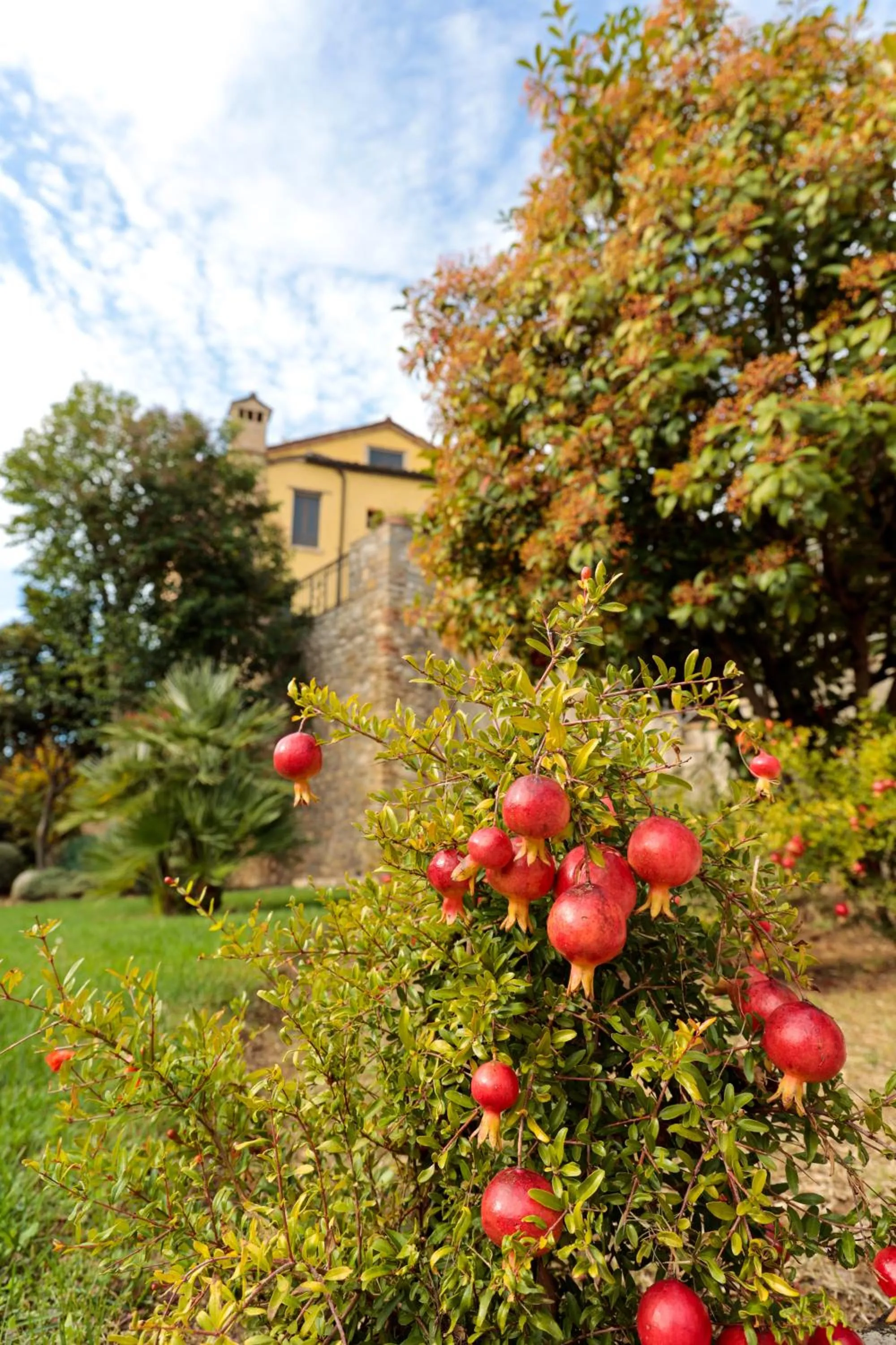 Hotel Corte dei Tini