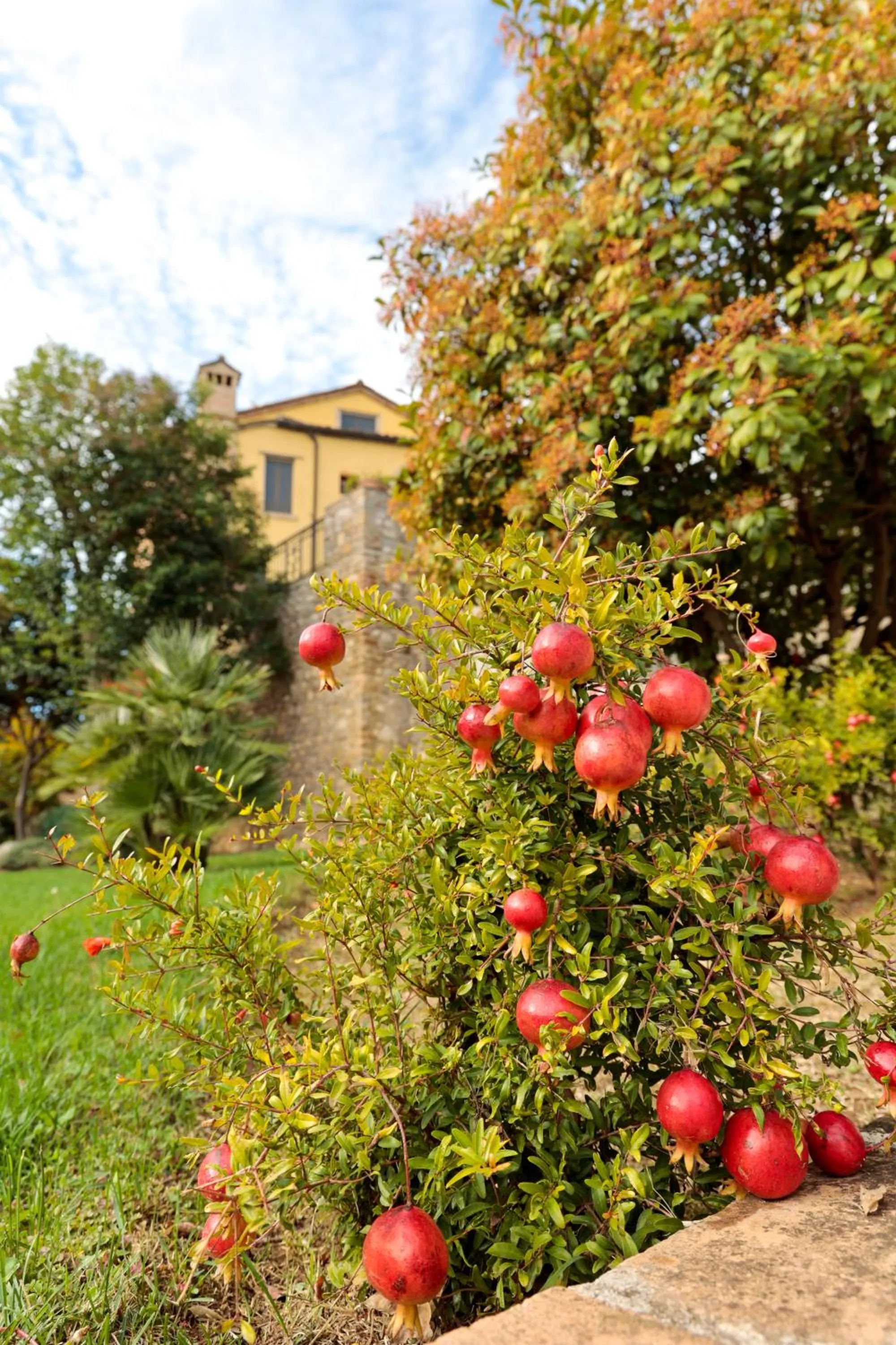 Hotel Corte dei Tini