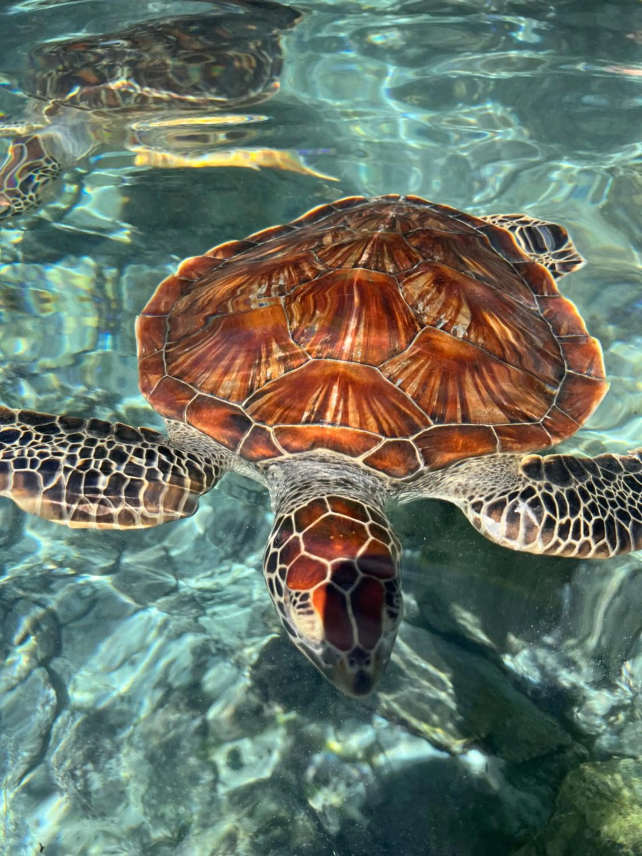 Property building in Karanga Bungalows