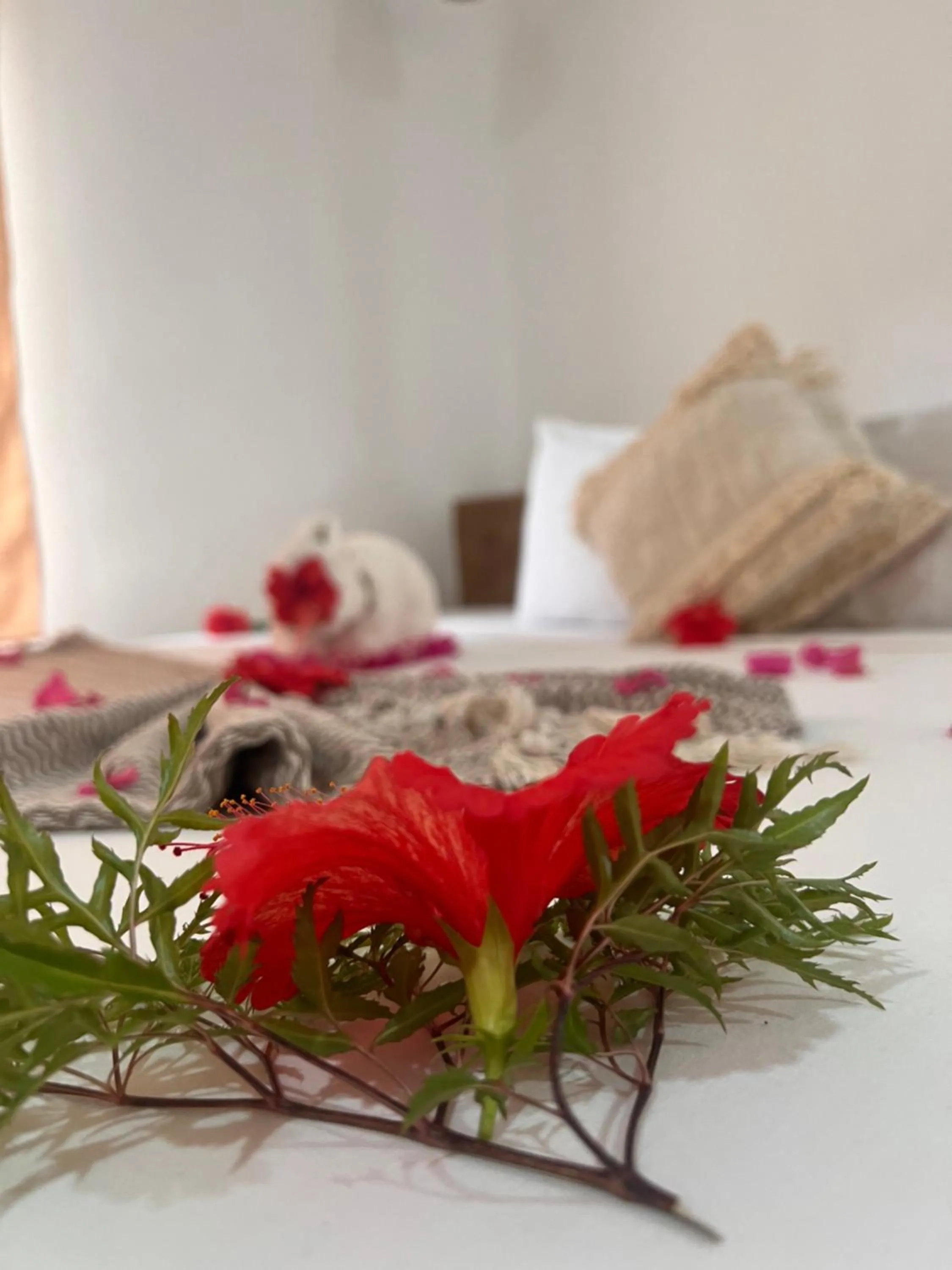 Bed in Karanga Bungalows