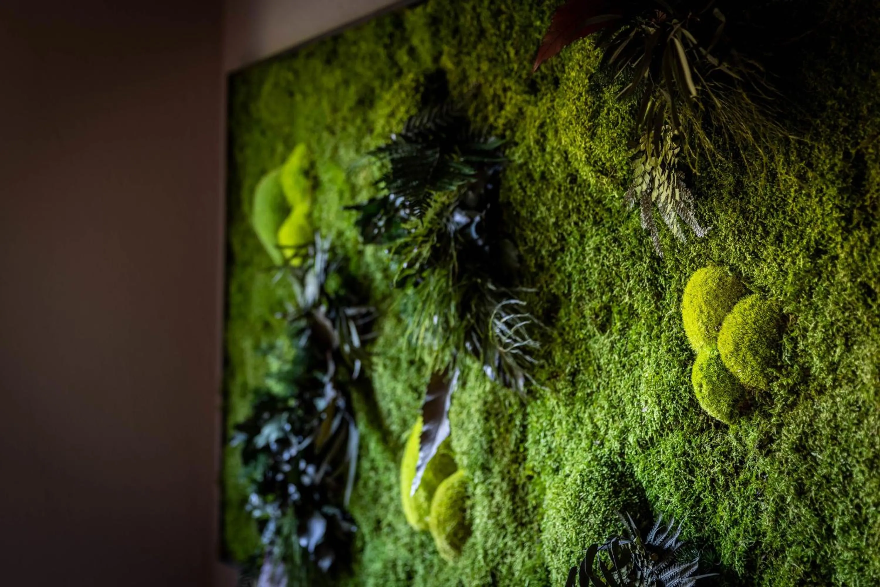 On site in The Art and Sporthotel