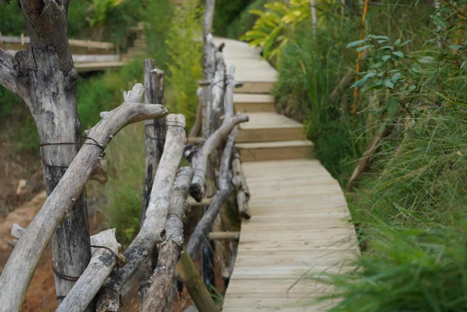 Garden in Bethel Lozana Guatape