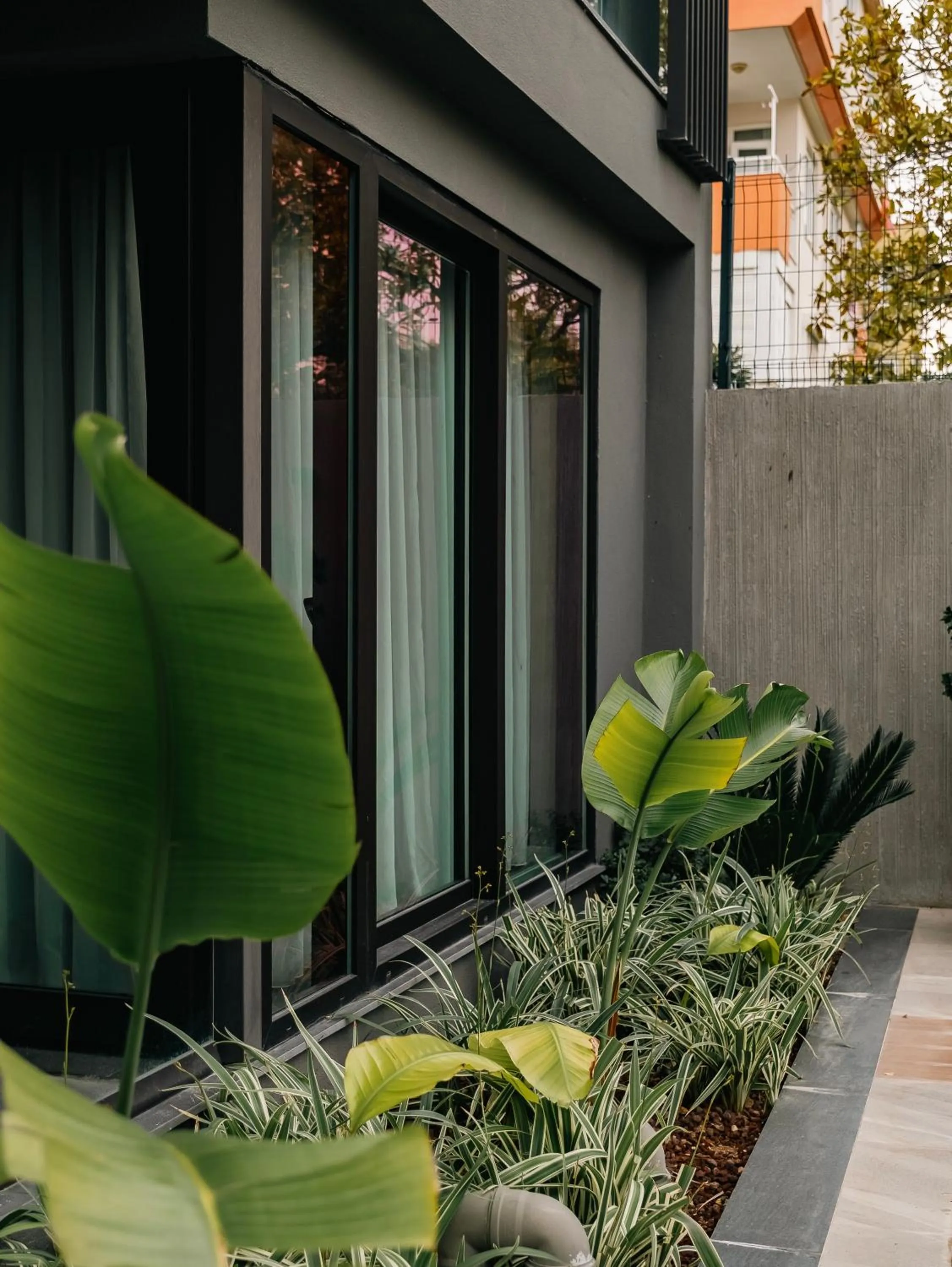 Garden in Vesta Rooms