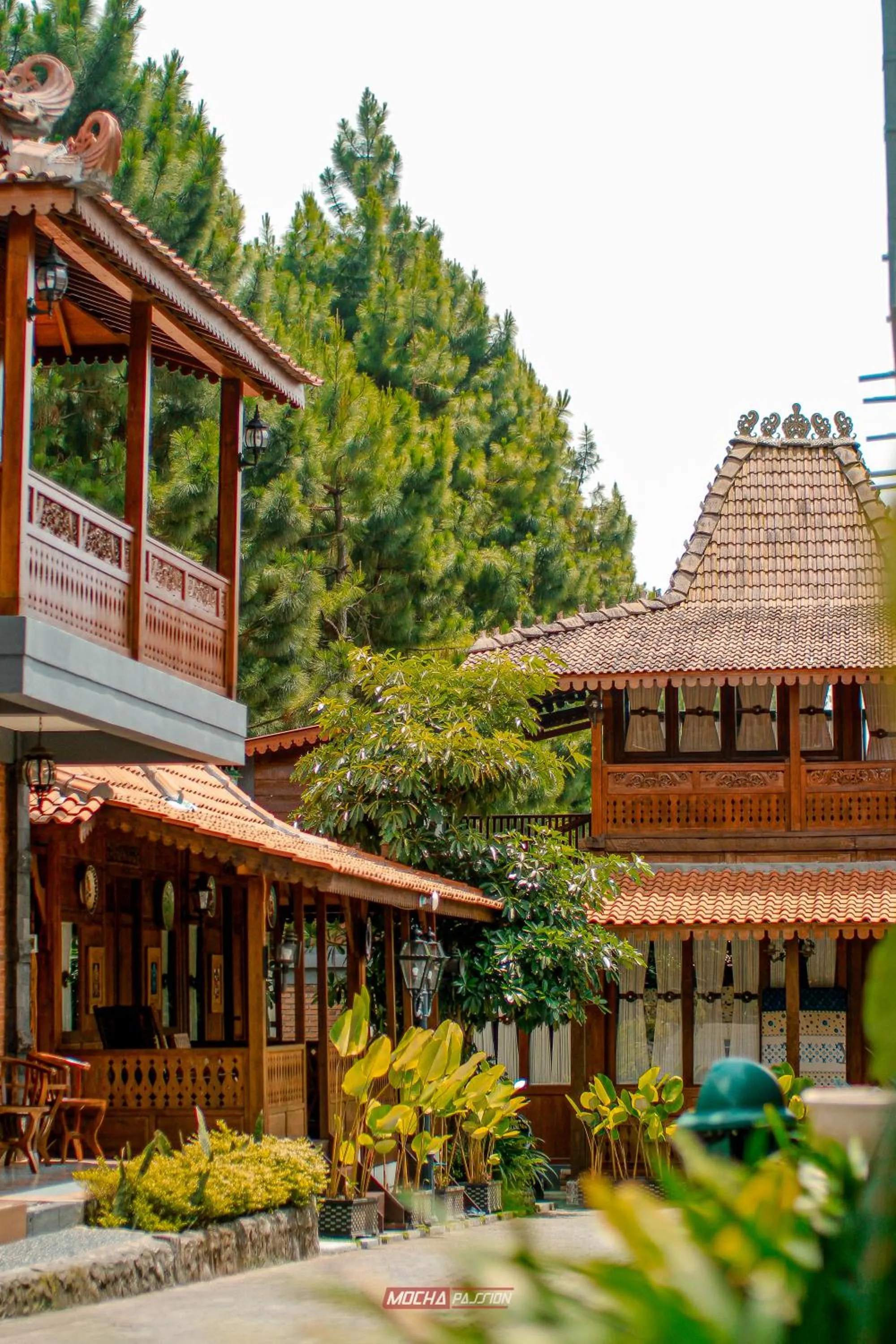 Garden in Joglo Kecombrang Bromo