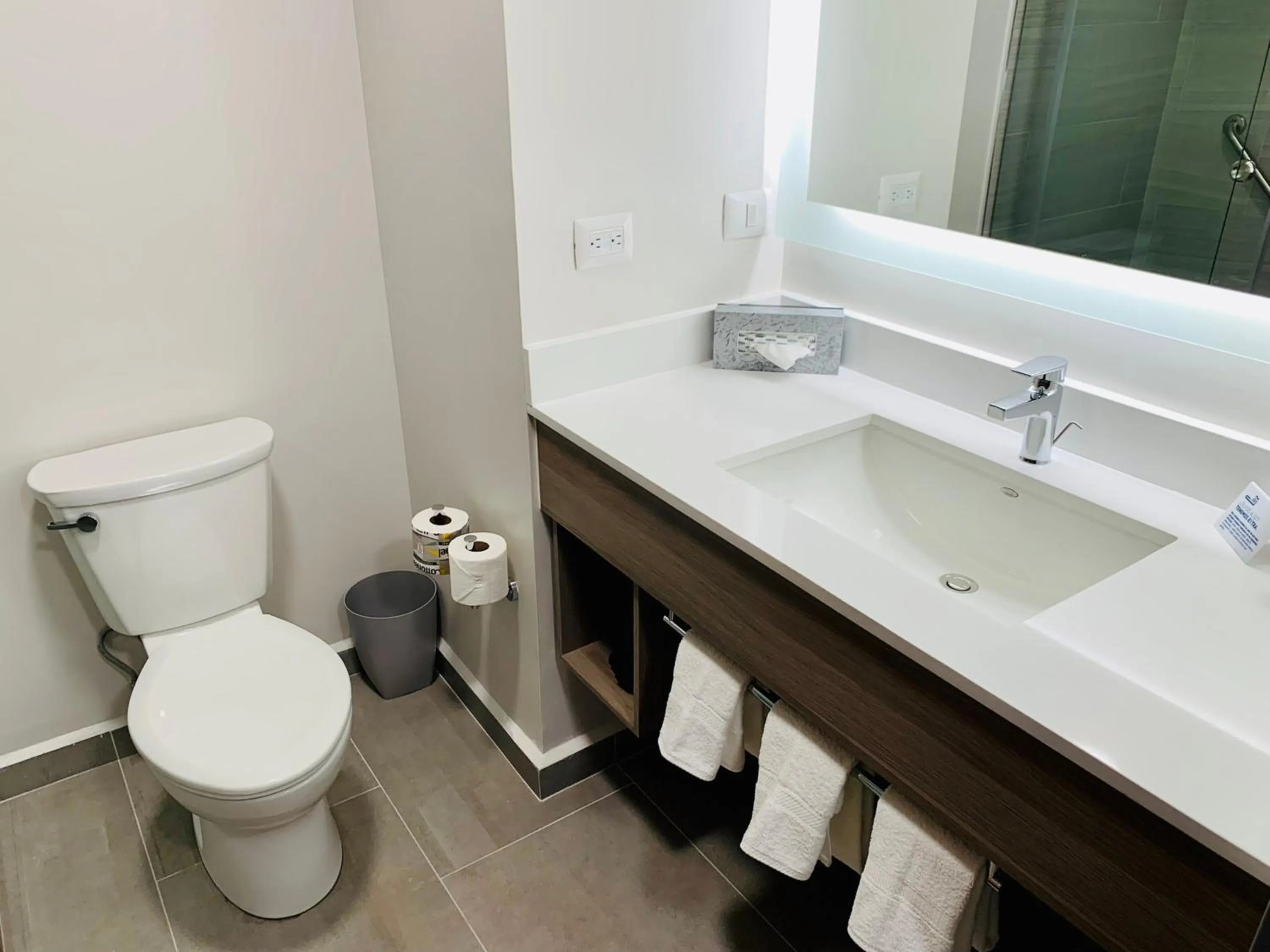 Bathroom in Holiday Inn Express - Guadalajara Vallarta Poniente by IHG