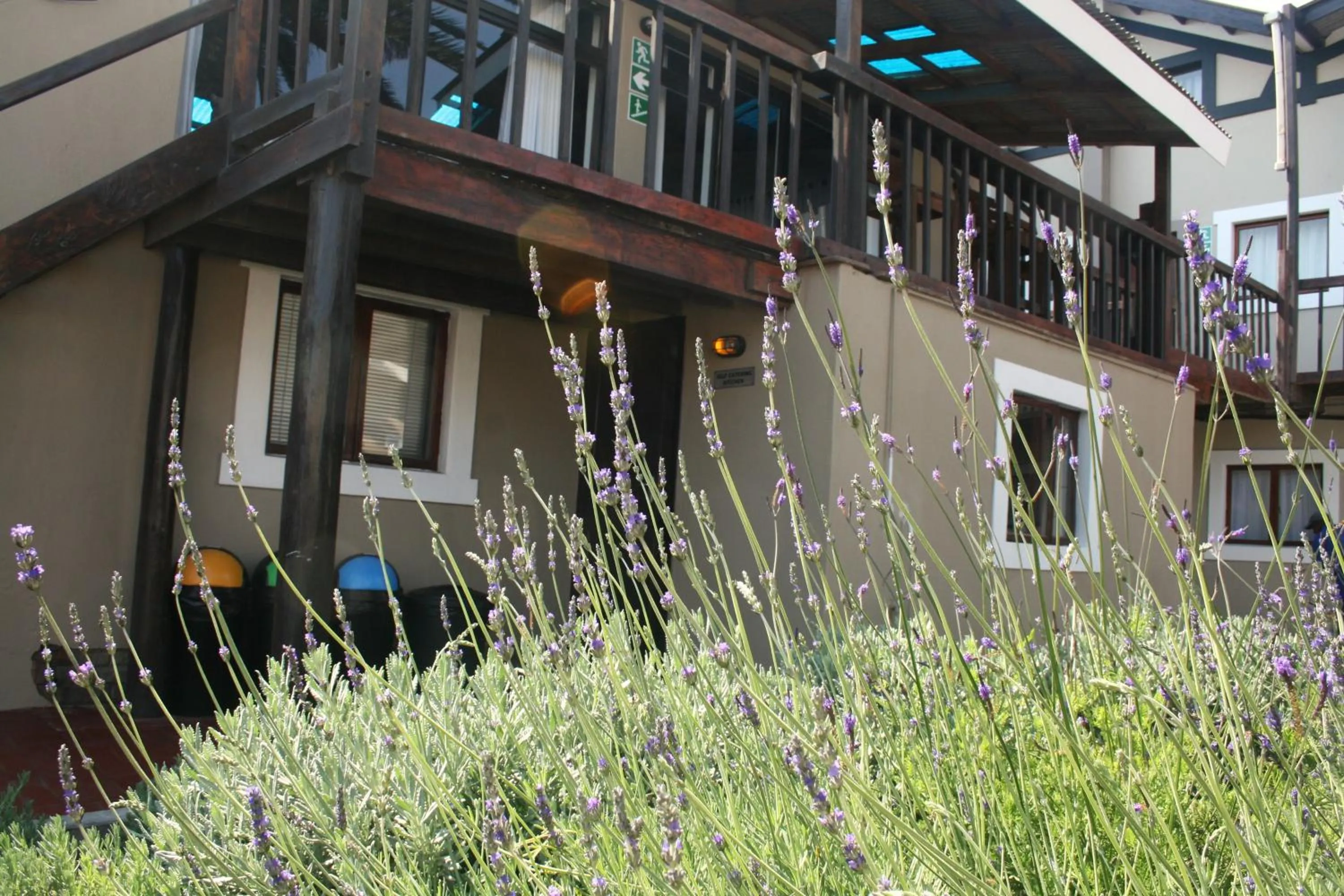 Garden in The Residence at Villa Wiese