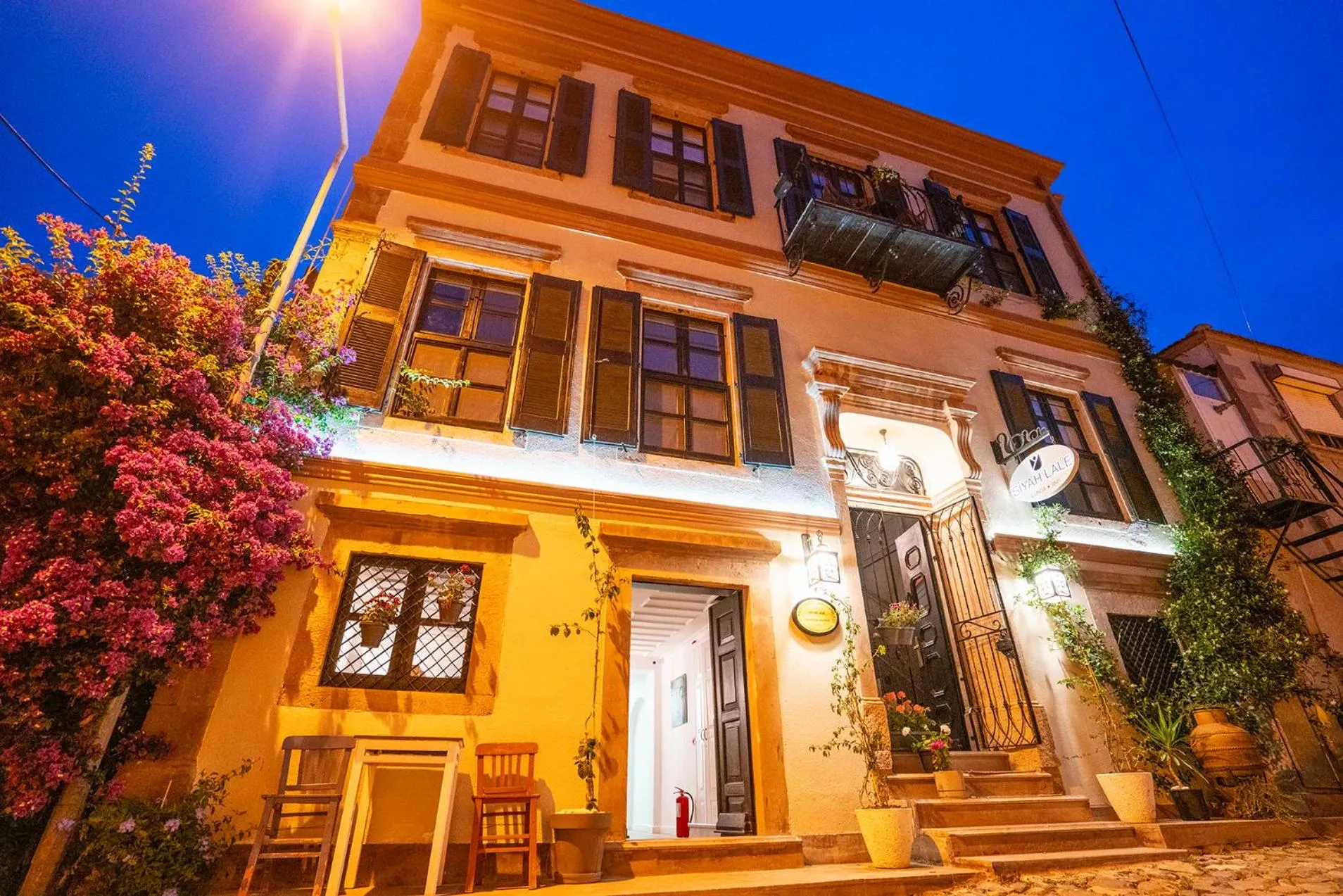 Siyah Lale Cunda 1841