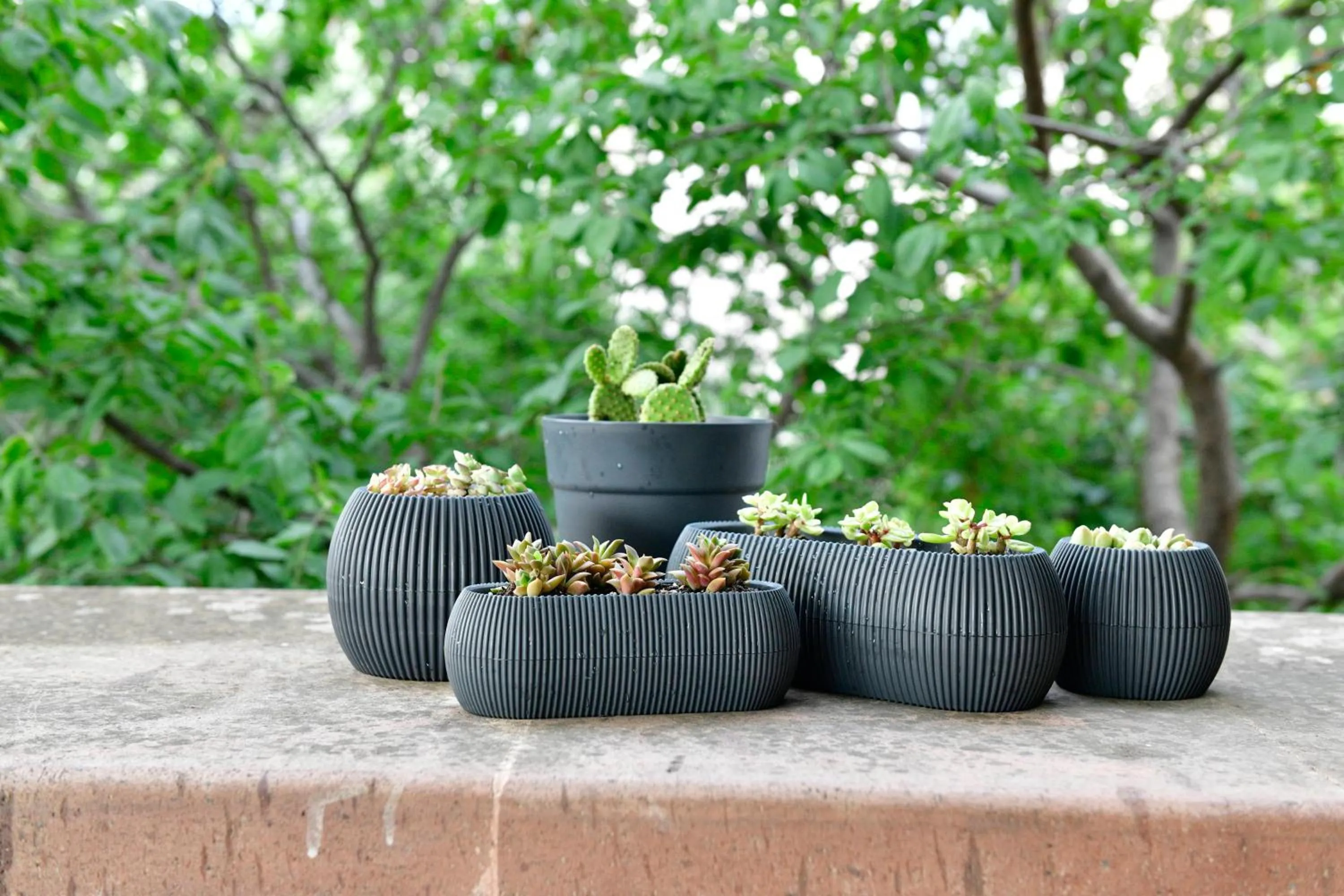 Garden view in Siyah Lale Cunda 1841