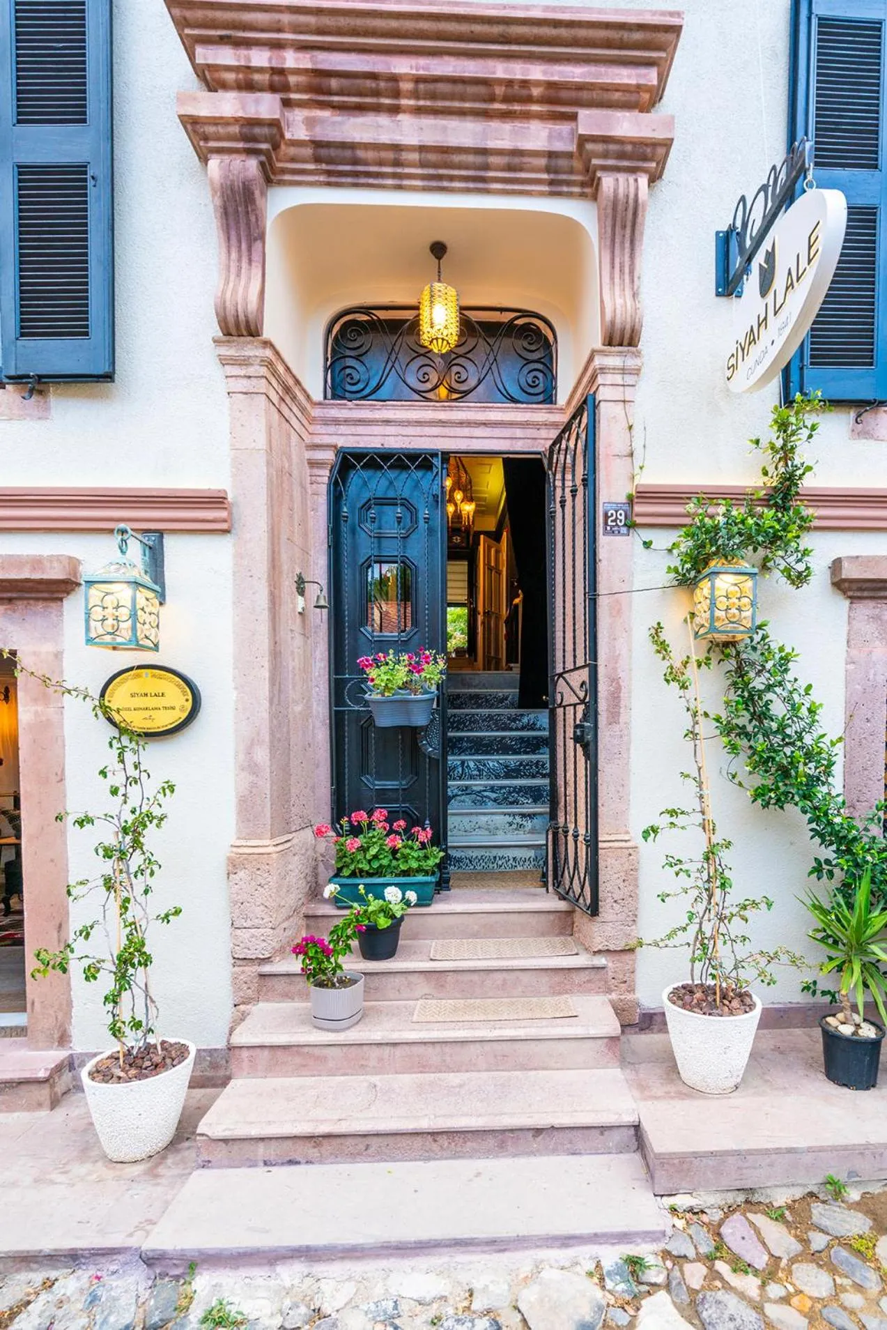 Siyah Lale Cunda 1841