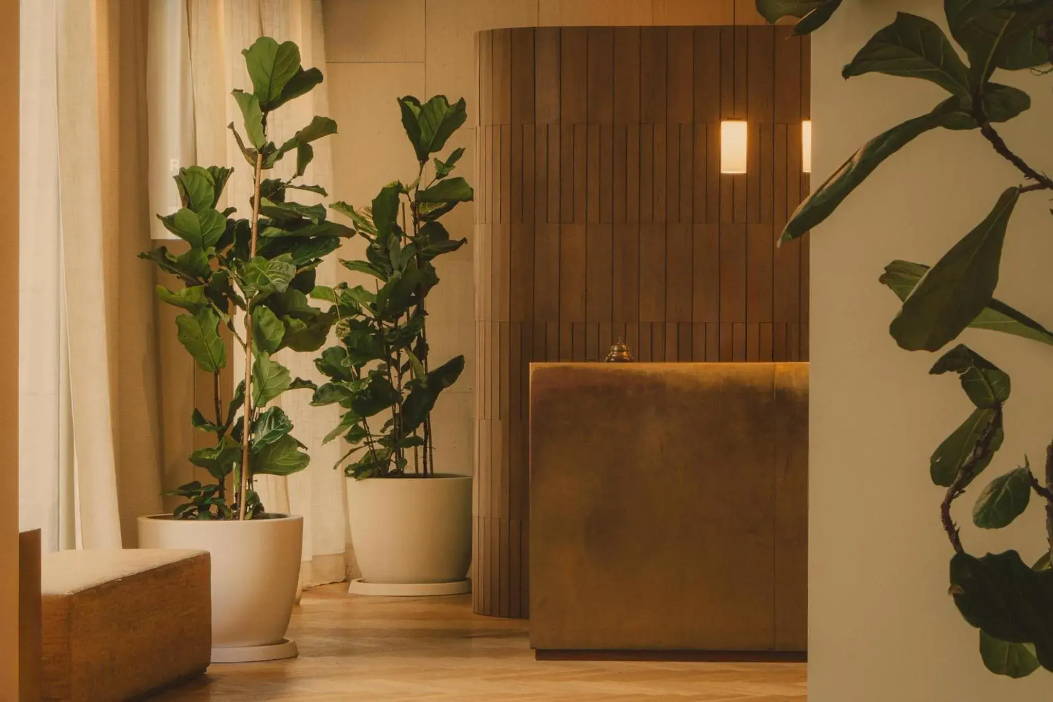 Lobby or reception in Hotel Regina Barcelona Lobby or reception in Hotel Regina Barcelona