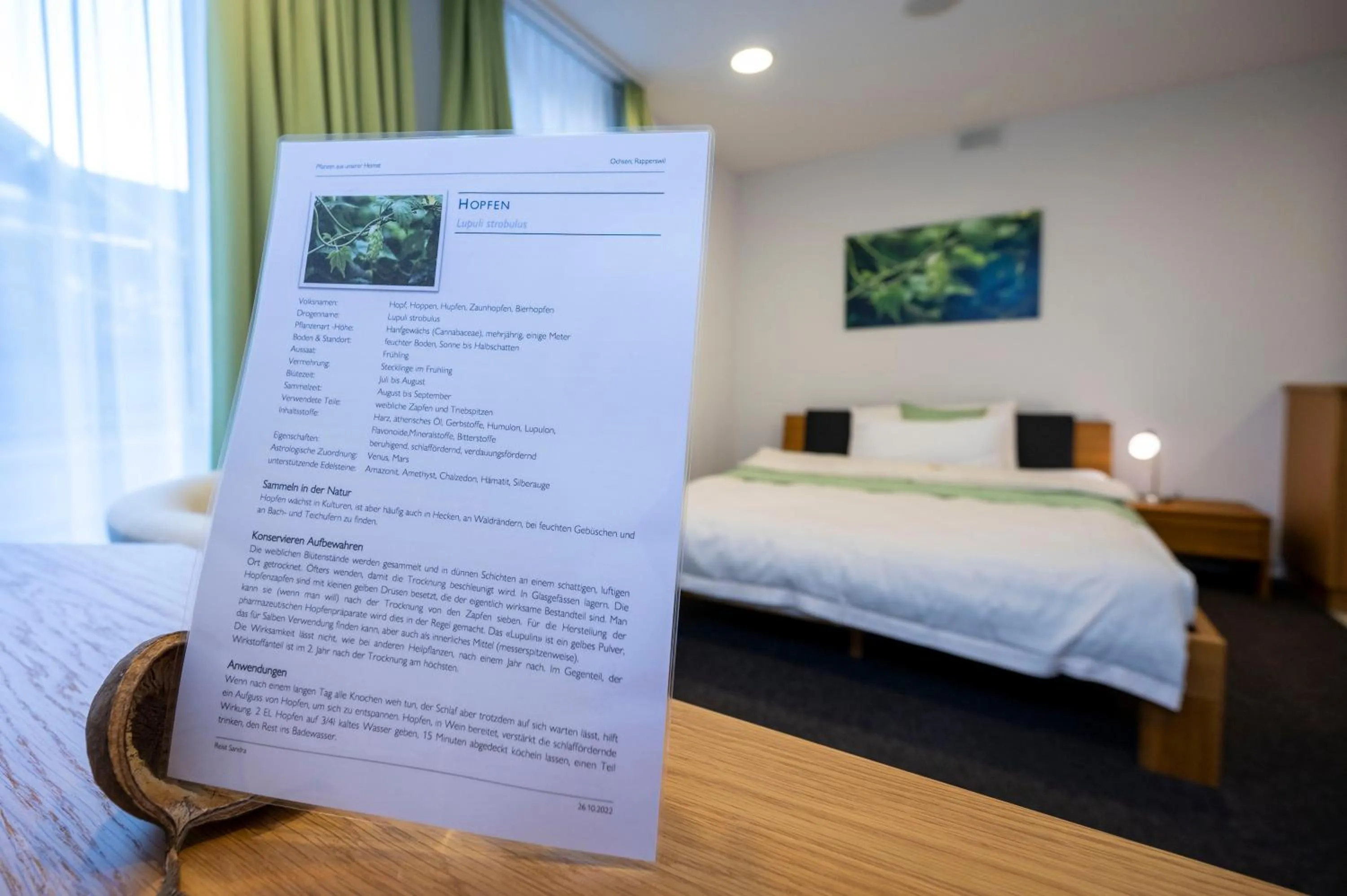 Decorative detail, Bed in Hotel Ochsen Rapperswil/BE