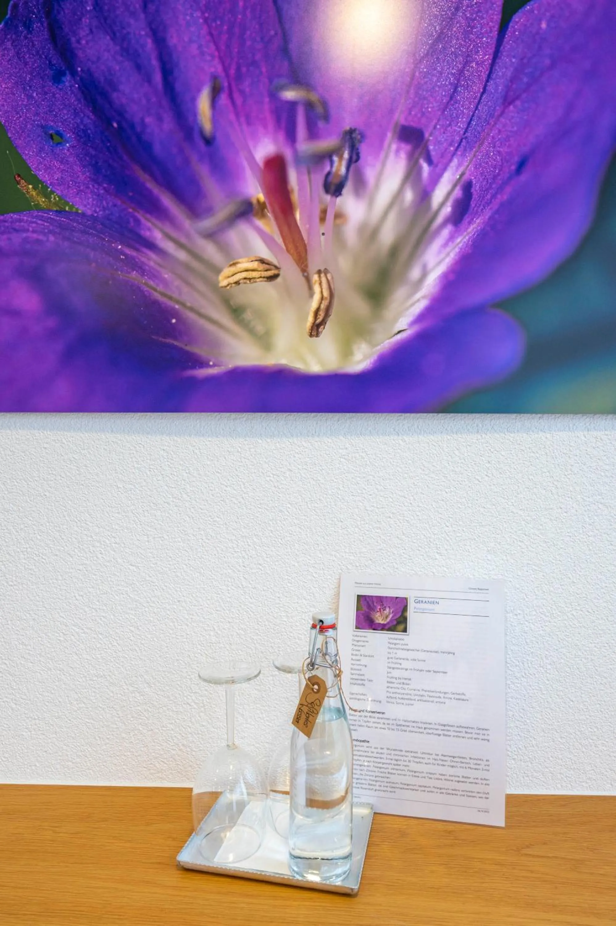 Decorative detail in Hotel Ochsen Rapperswil/BE