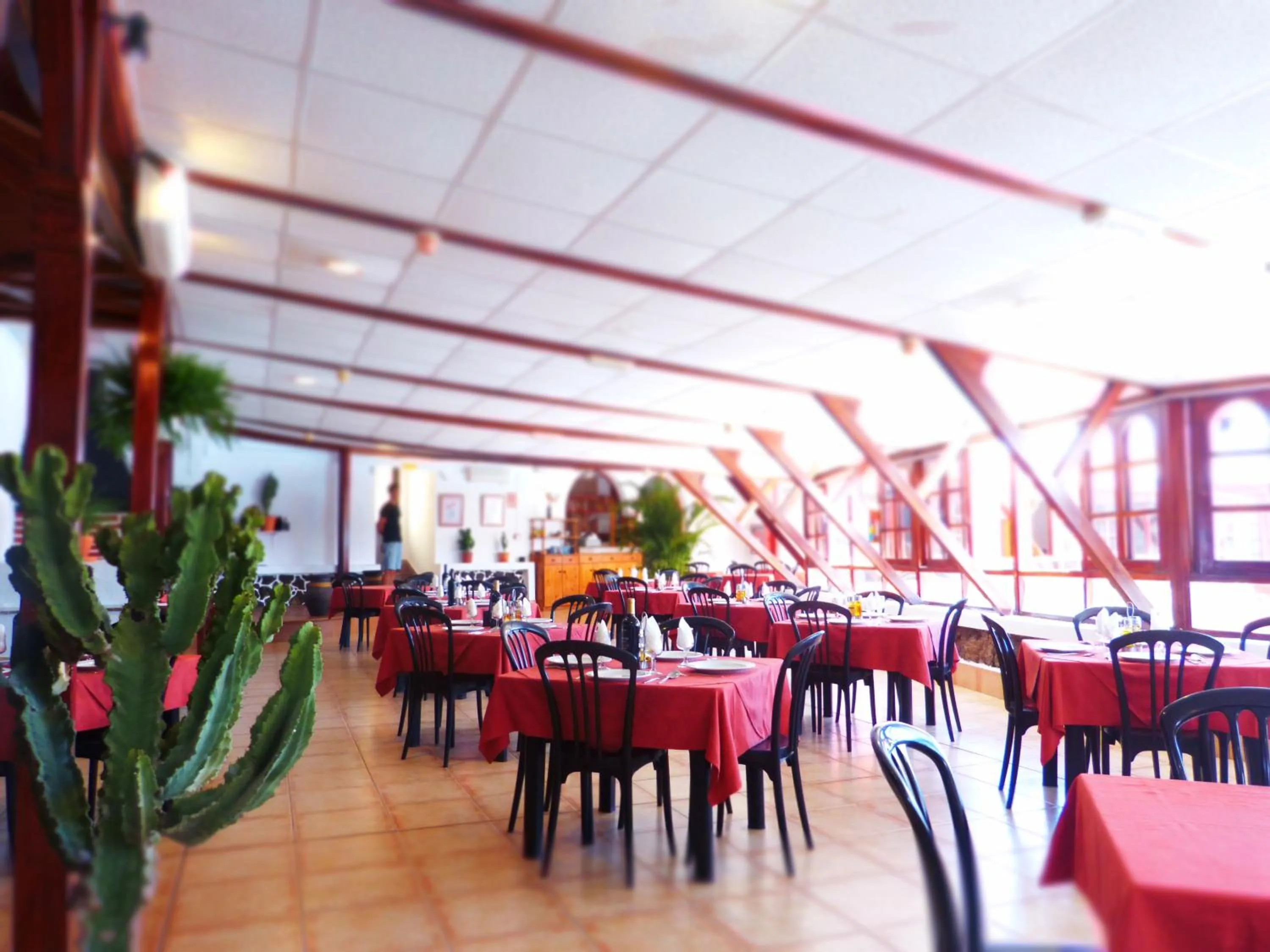 Restaurant/places to eat in Bungalows Castillo Beach