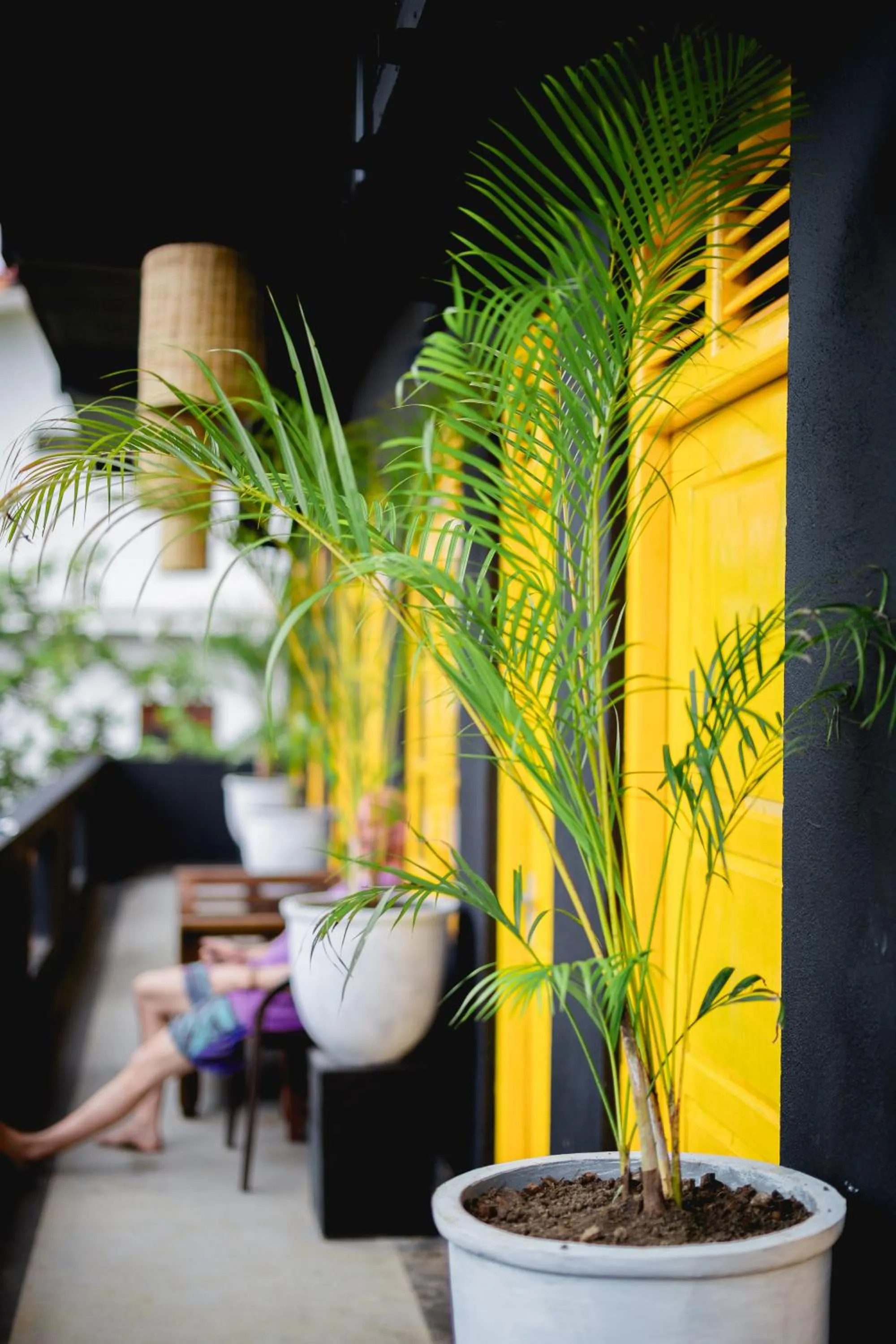 Day in Sugar Hostel Weligama - Coliving & Coworking