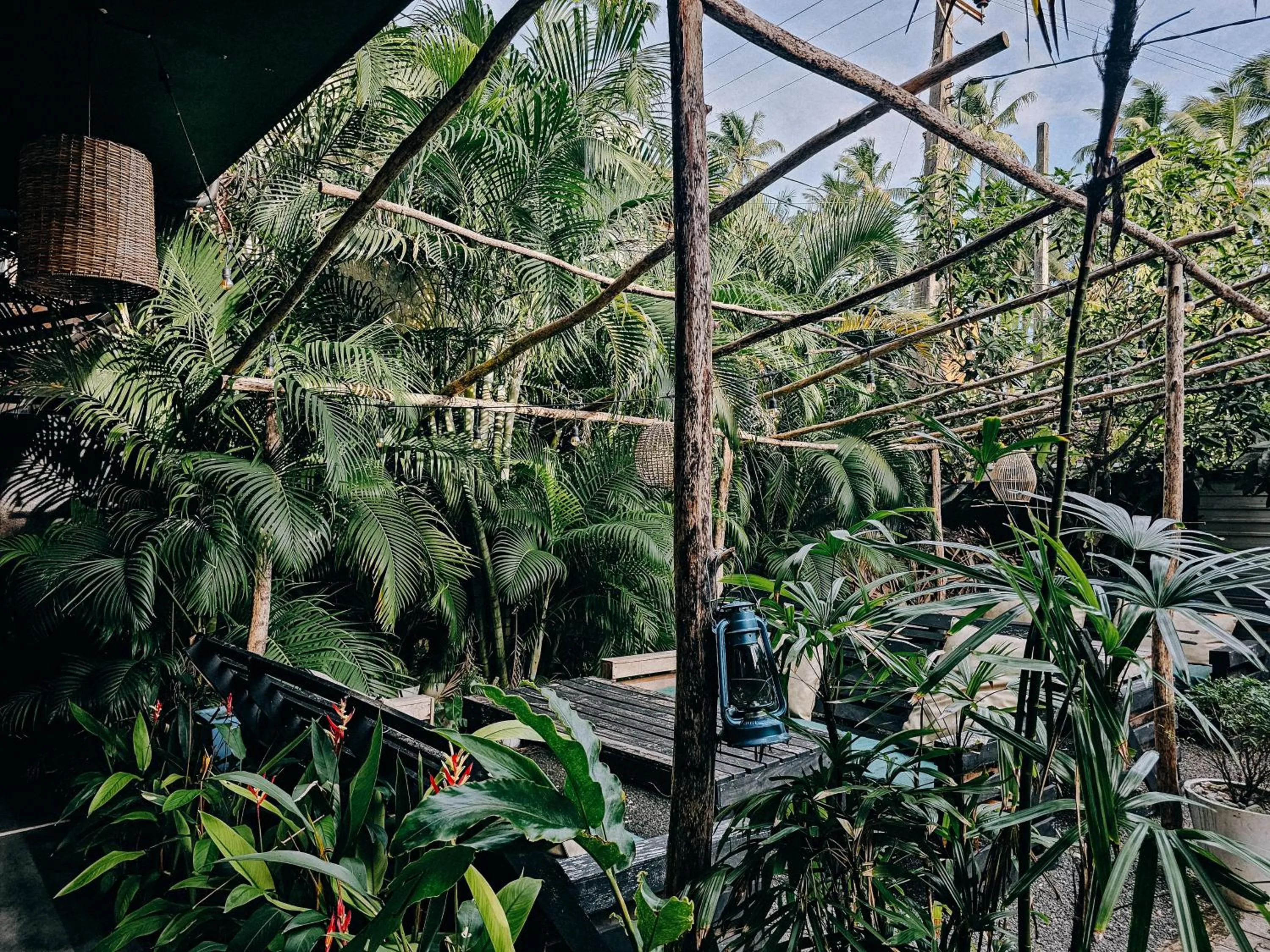 Garden in Sugar Hostel Weligama - Coliving & Coworking