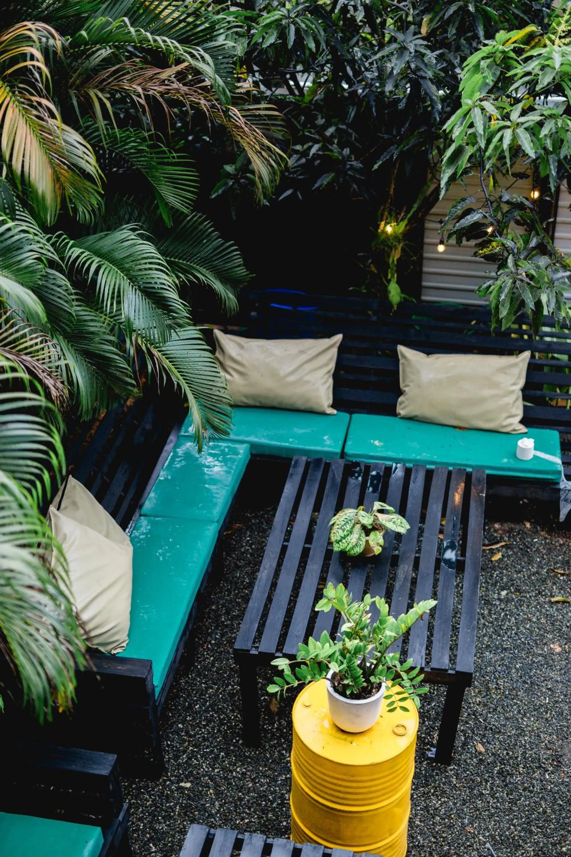 Garden in Sugar Hostel Weligama - Coliving & Coworking