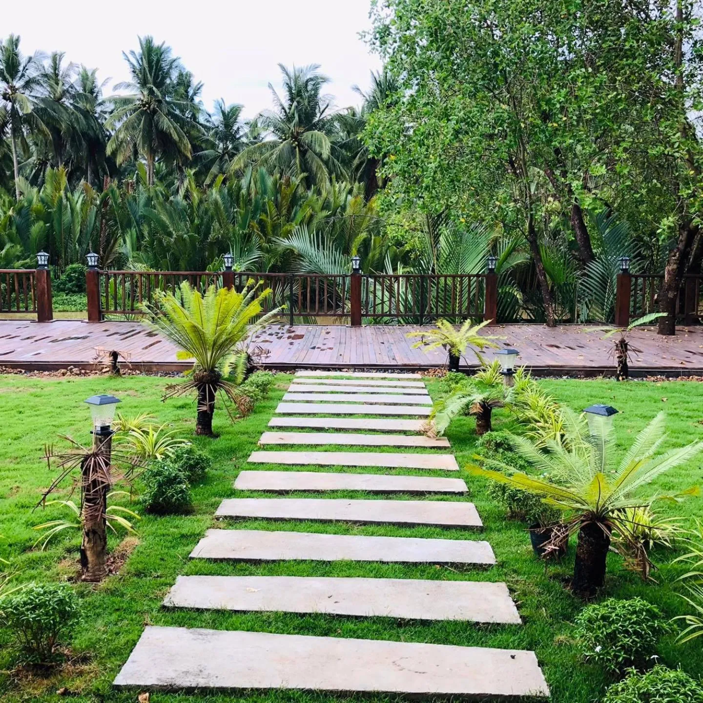 Garden view in Kampot Tropical Village
