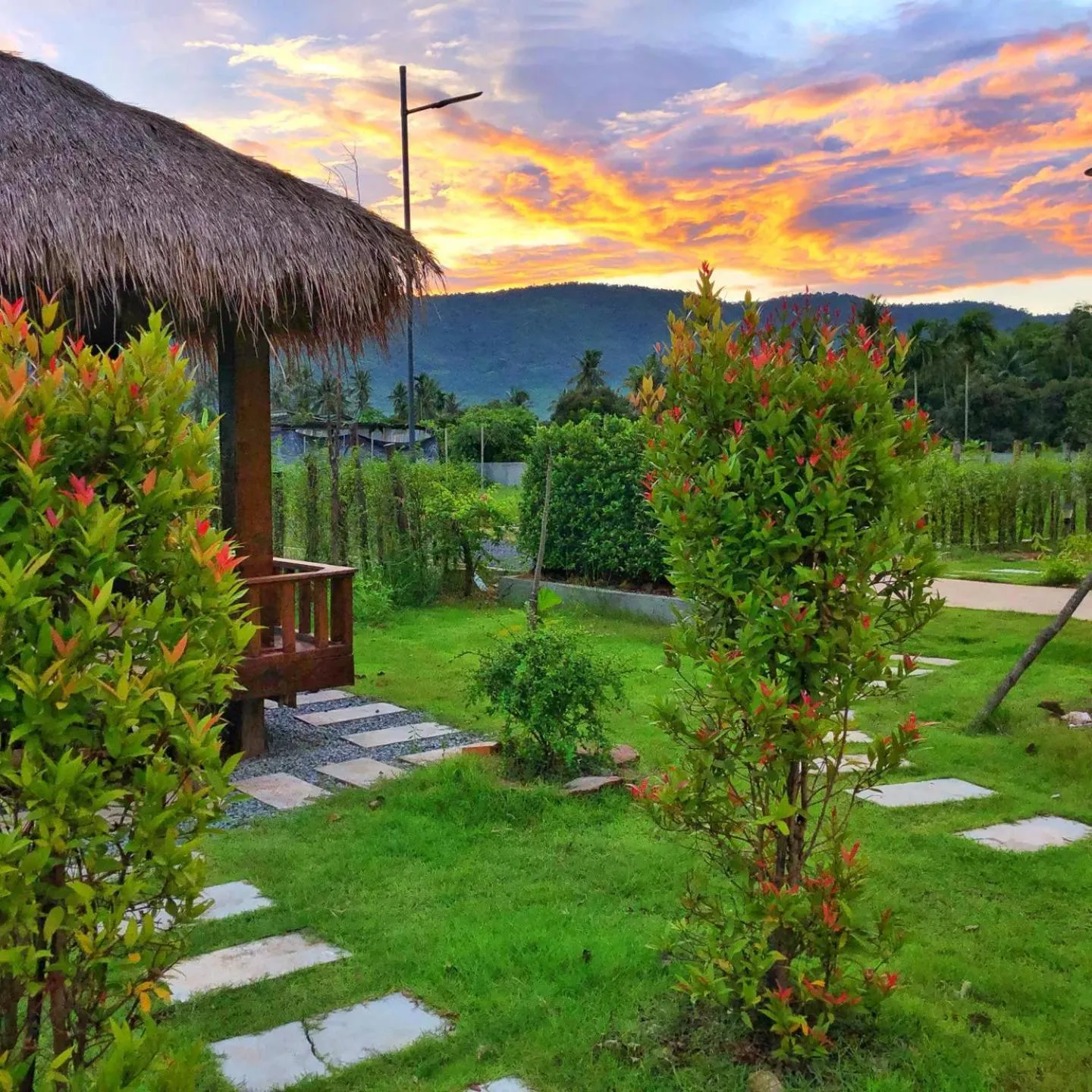 Garden view in Kampot Tropical Village