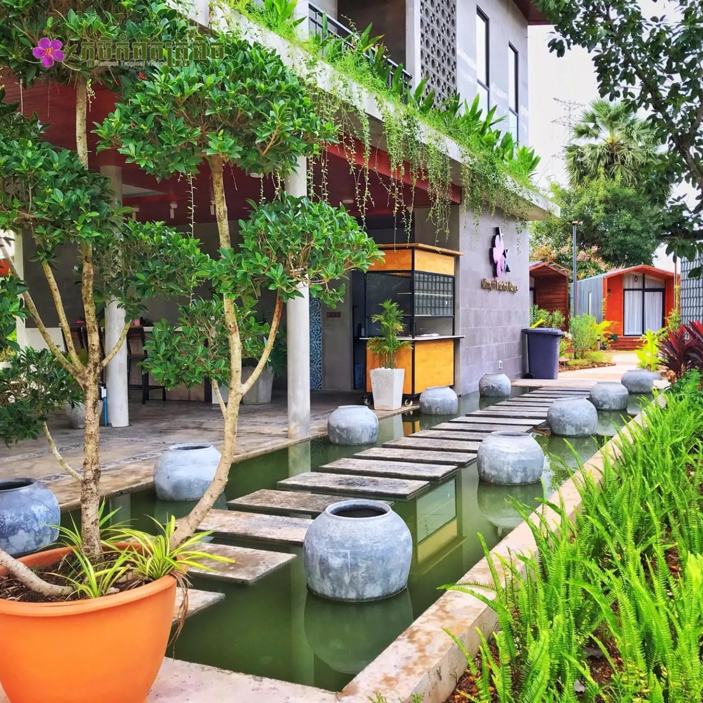 Spring in Kampot Tropical Village