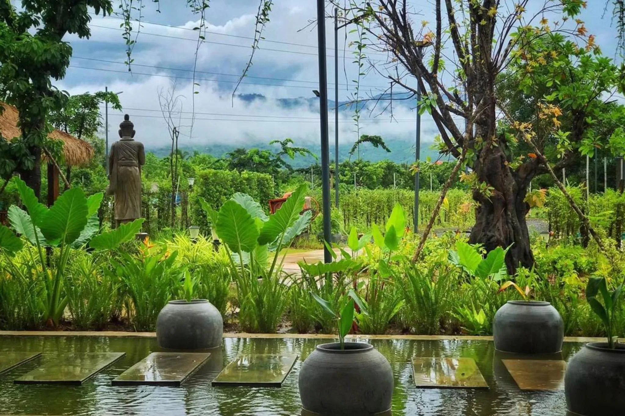 Garden view in Kampot Tropical Village