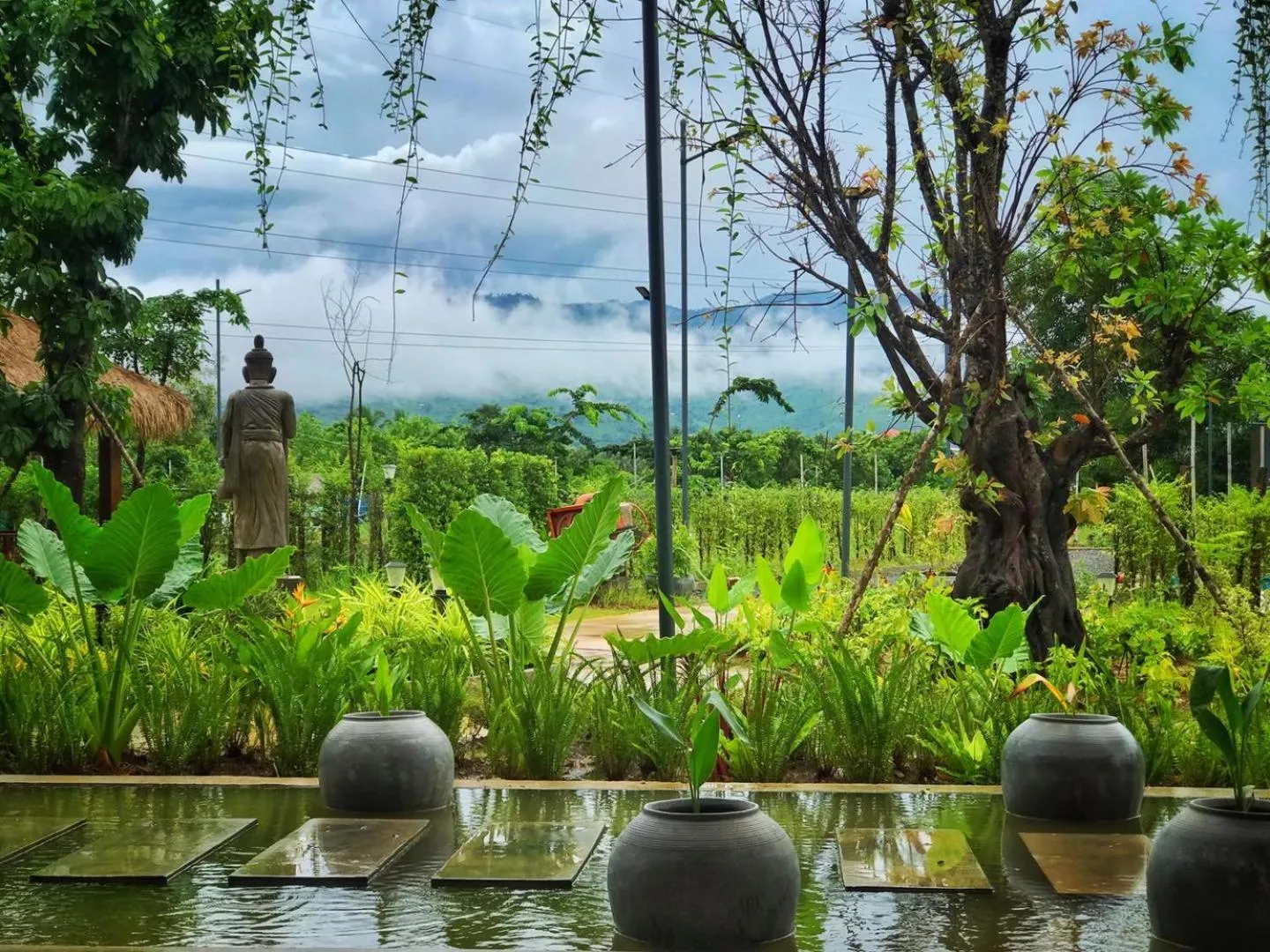 Garden view in Kampot Tropical Village