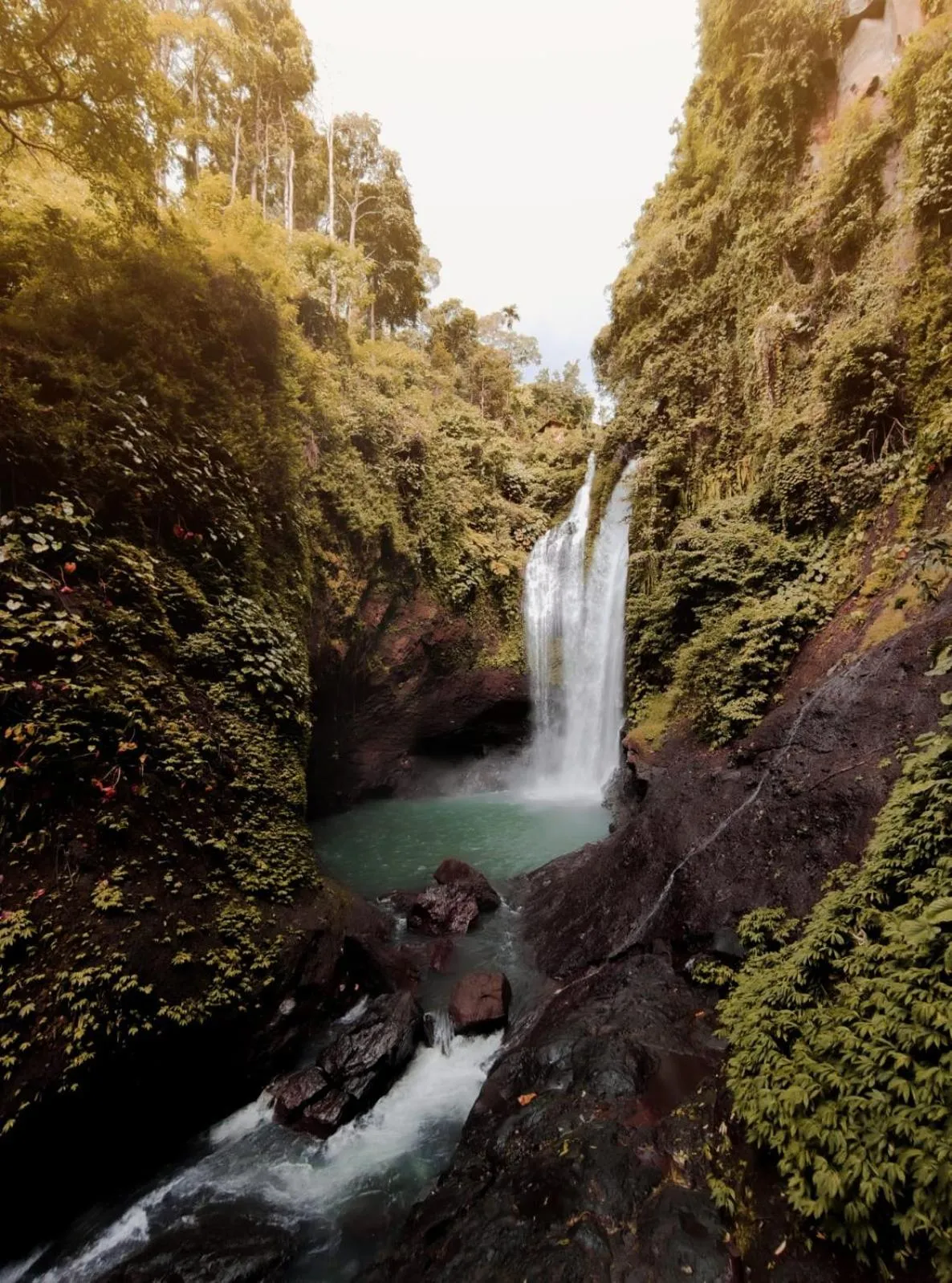 Natural landscape in Maha Hills Resort by Mahaprana Experience