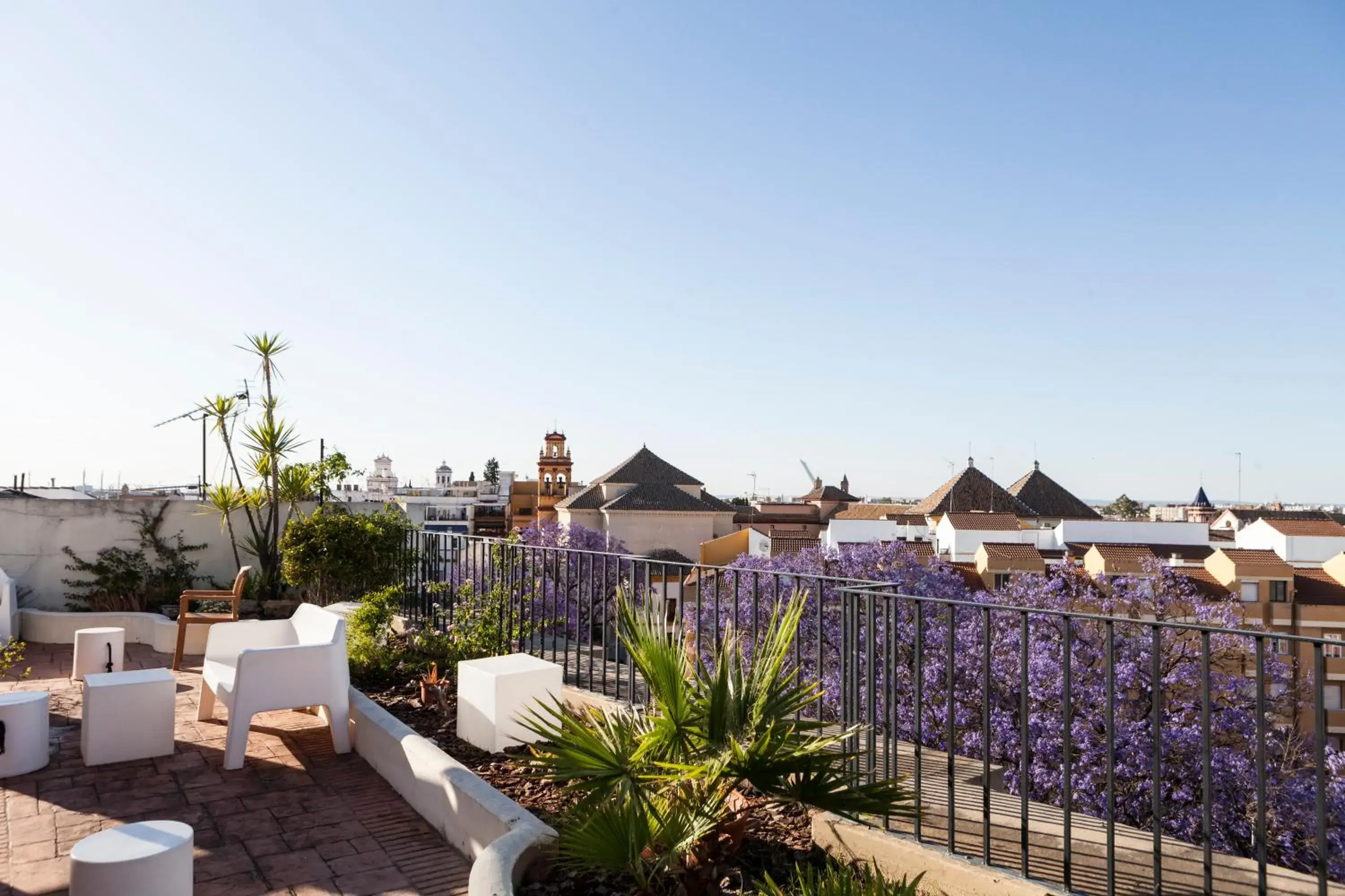 Swimming pool in Hotel Don Paco Swimming pool in Hotel Don Paco