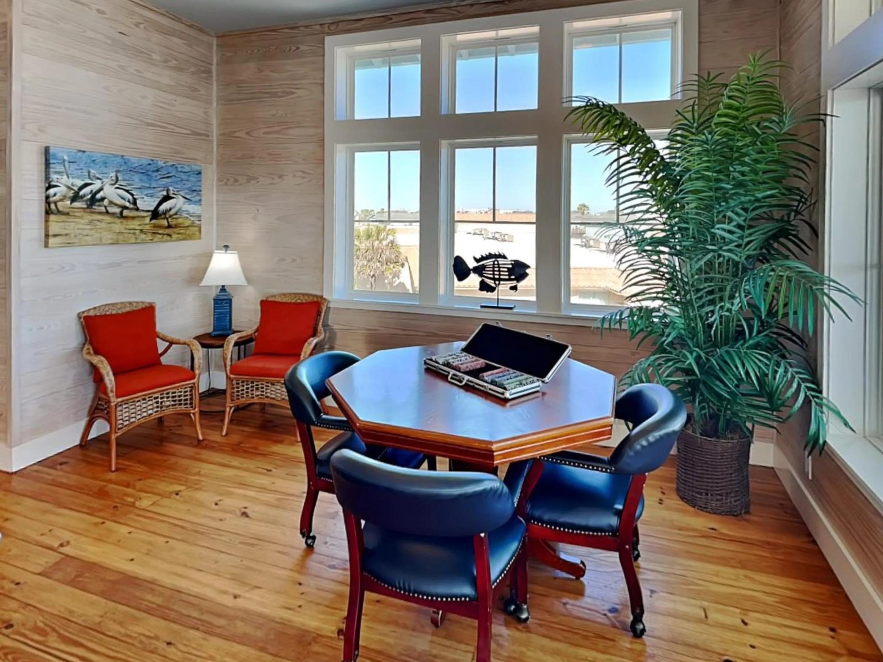 Day in Turtle Paradise