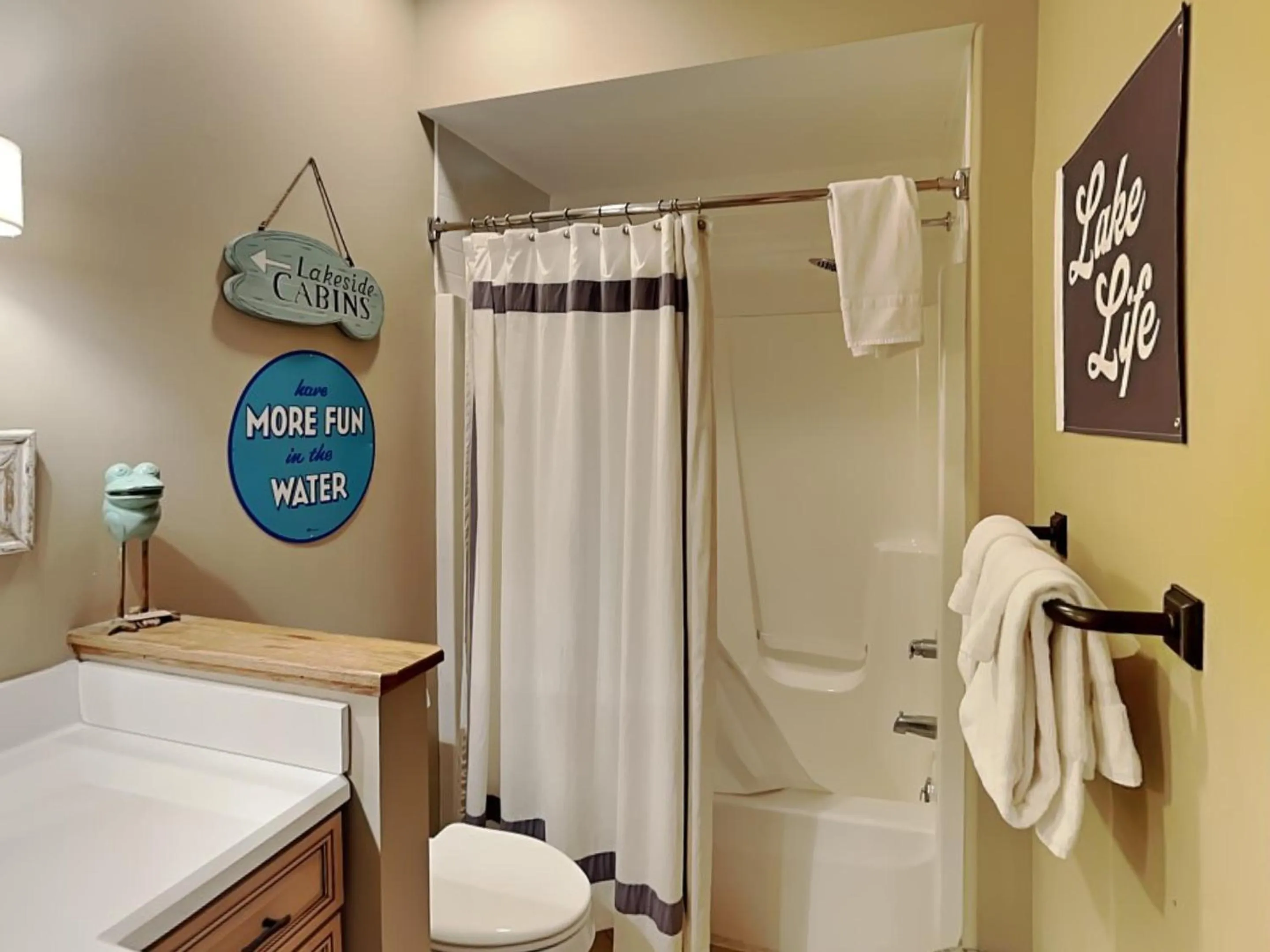 Stone Mountain Vista